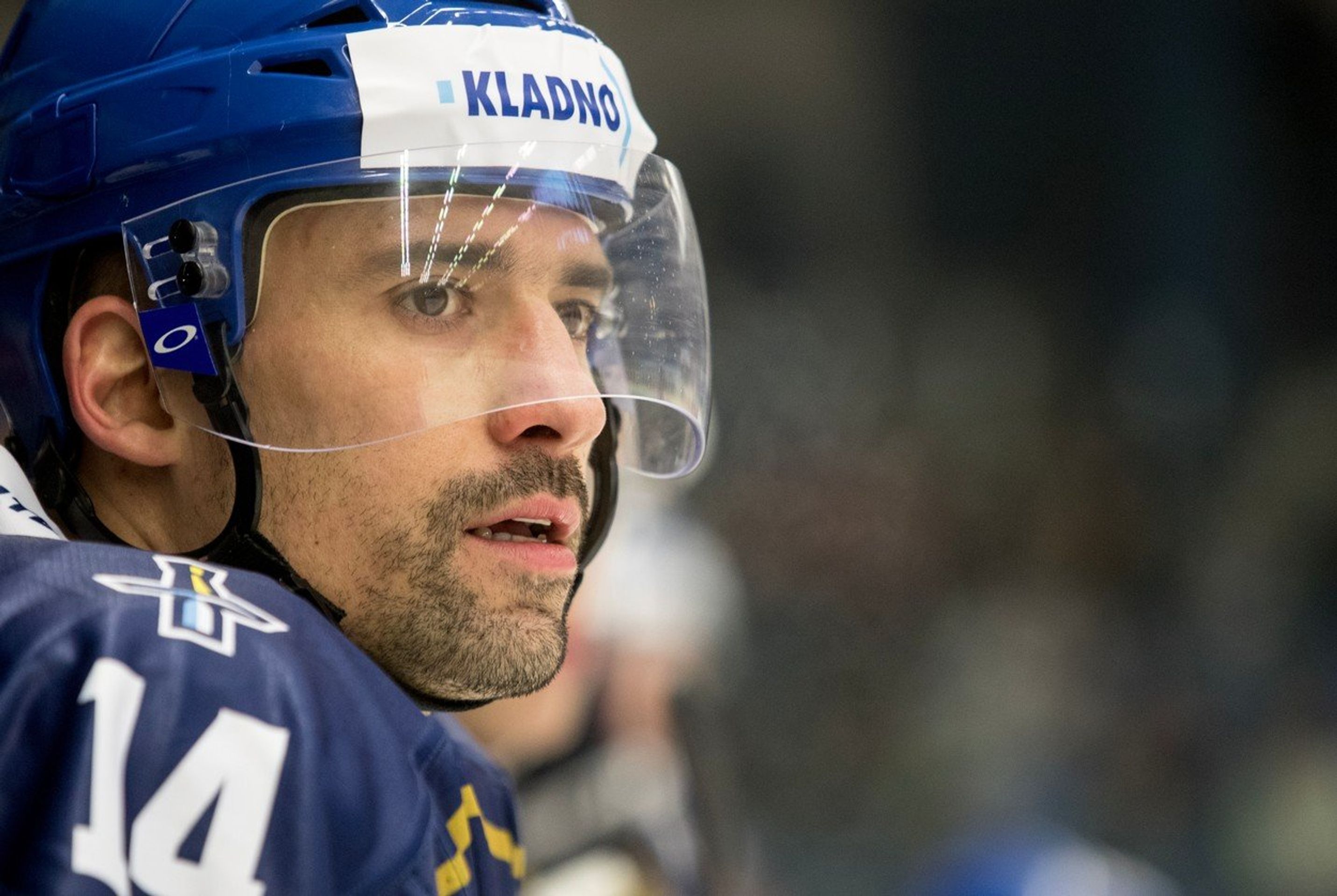 Tomáš Plekanec - GALERIE: Komentáře fanoušků na adresu Tomáše Plekance (3/4)