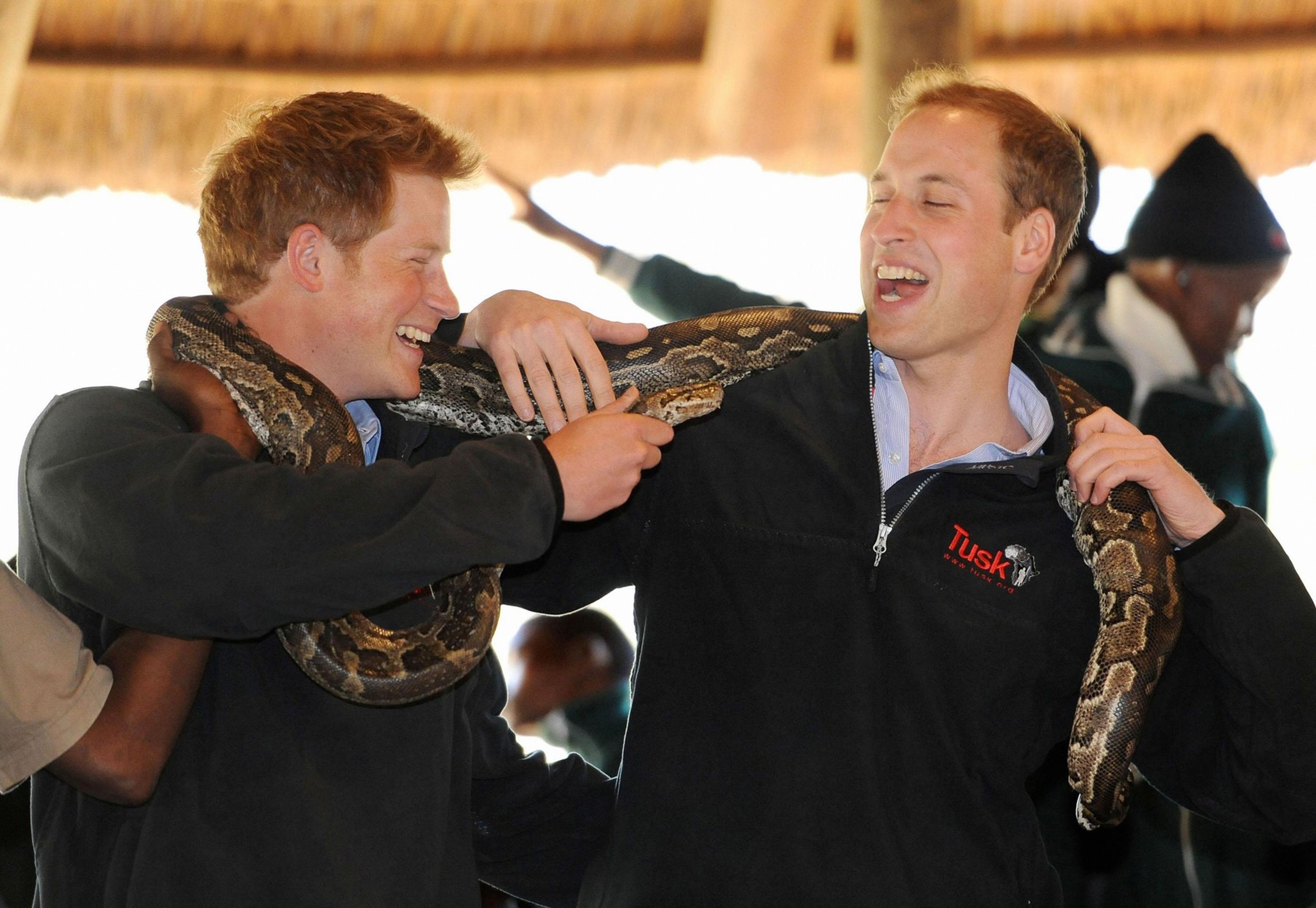 Princové Harry a William v Botswaně, 15. 6. 2010 - Princ Harry (5/10)