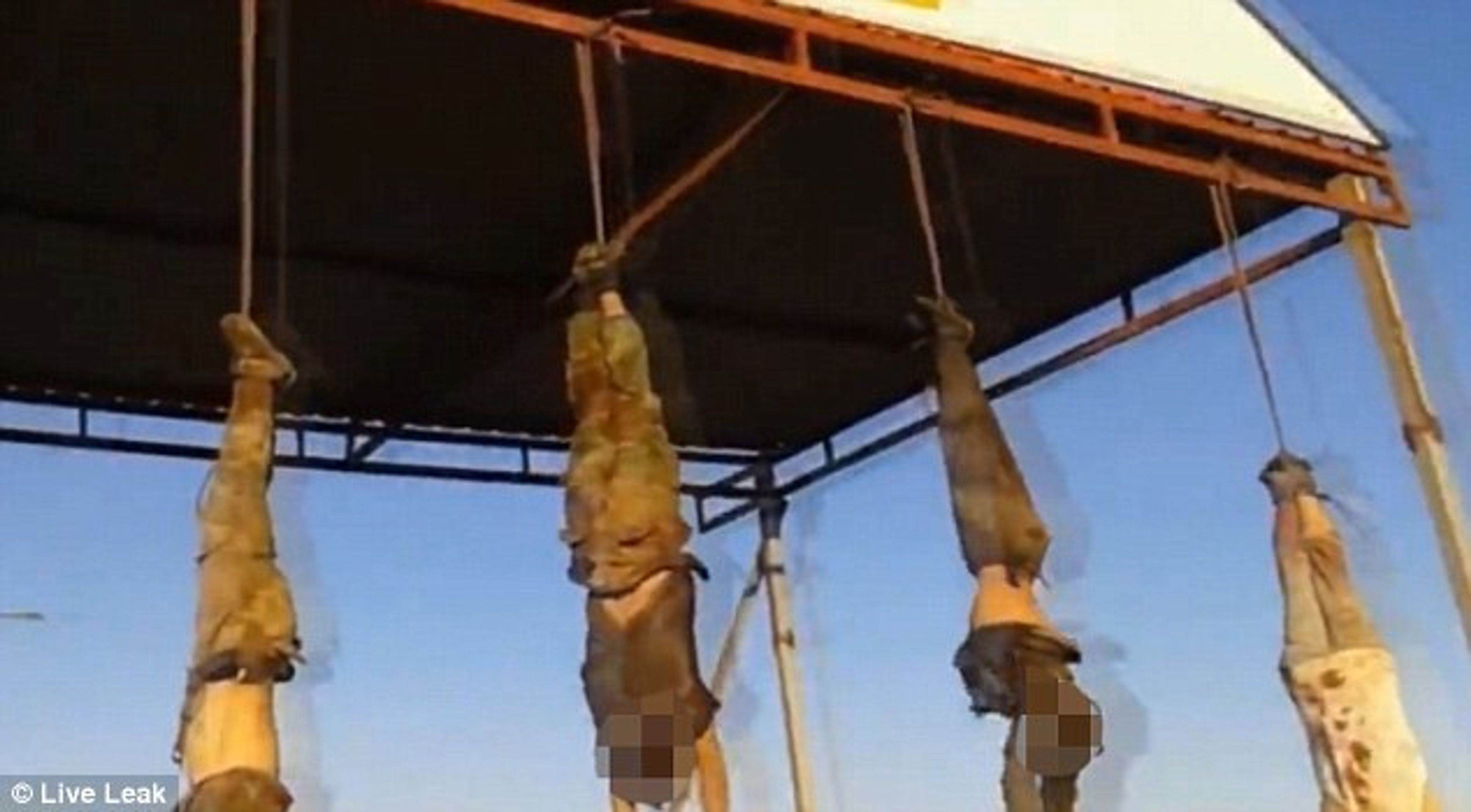 Vrazi z IS opět zabíjeli - 2 - Teroristé z ISIS pověsili mrtvoly na vjezd do města (4/4)