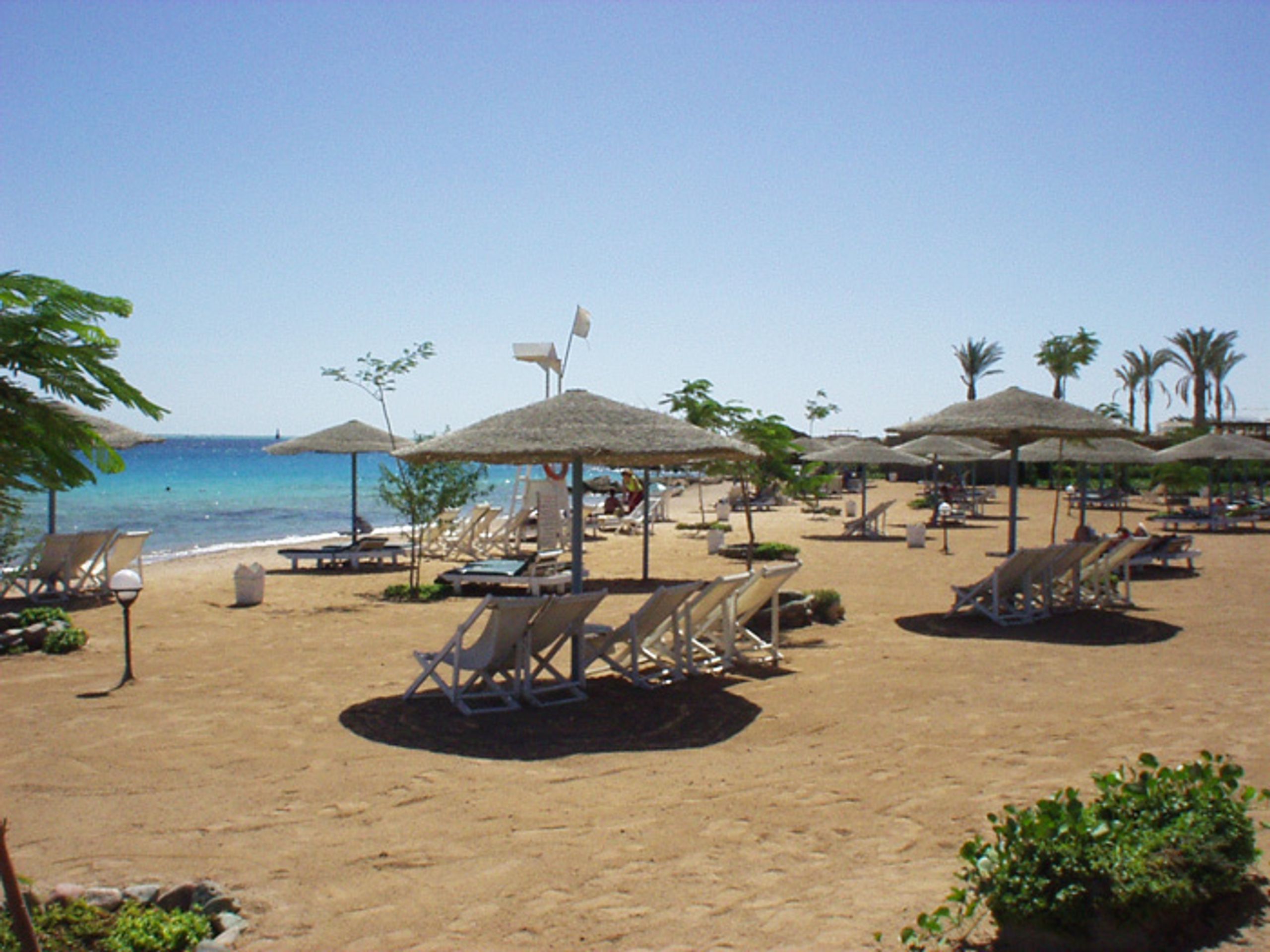 Hotel Sea Garden Hurghada (Petr Kramný) - 3 - GALERIE: Hotel Sea Garden Hurghada (4/6)