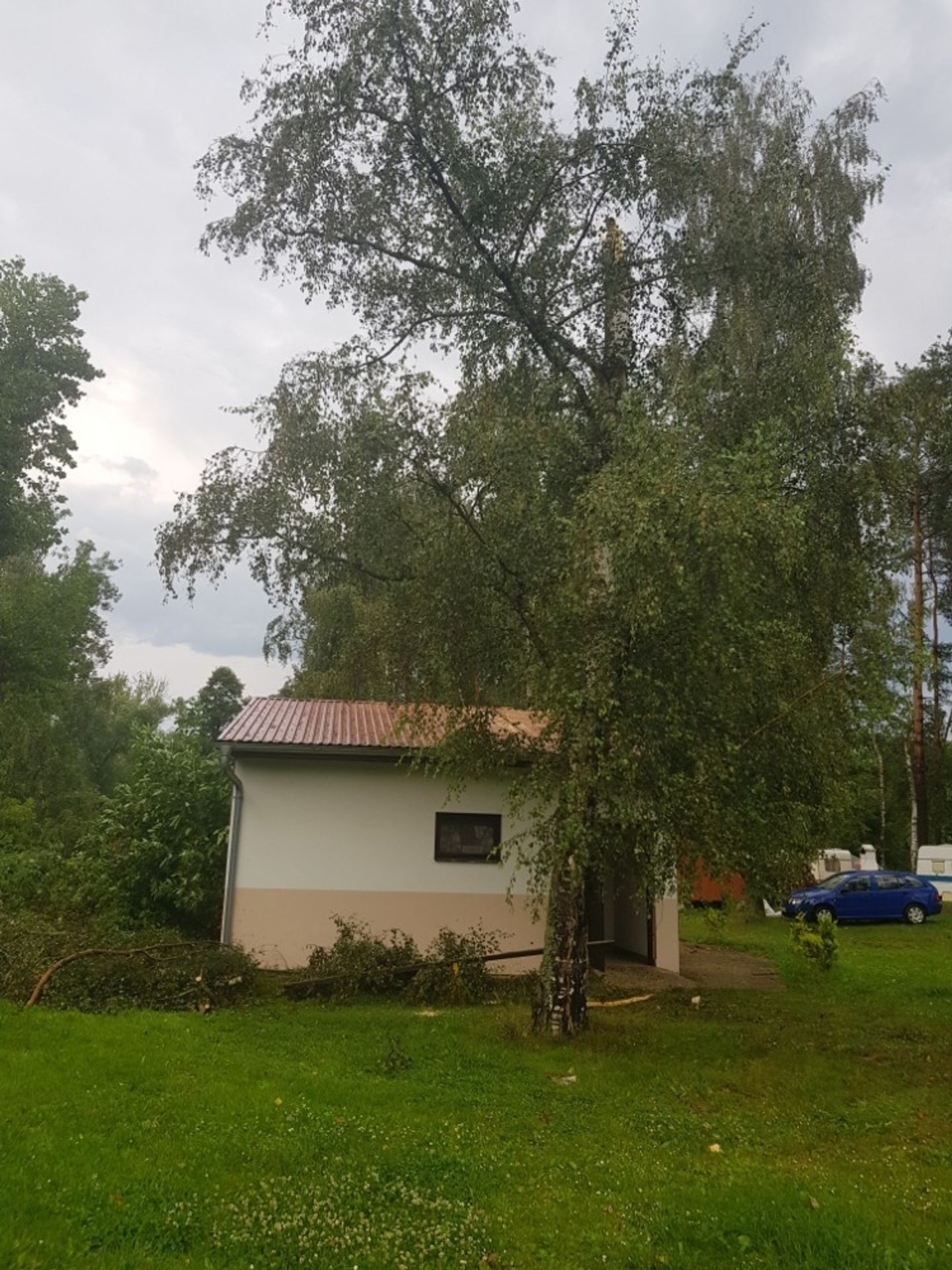 Poničený kemp karvánky - 5 - GALERIE: Spadané stromy v kempu (2/6)