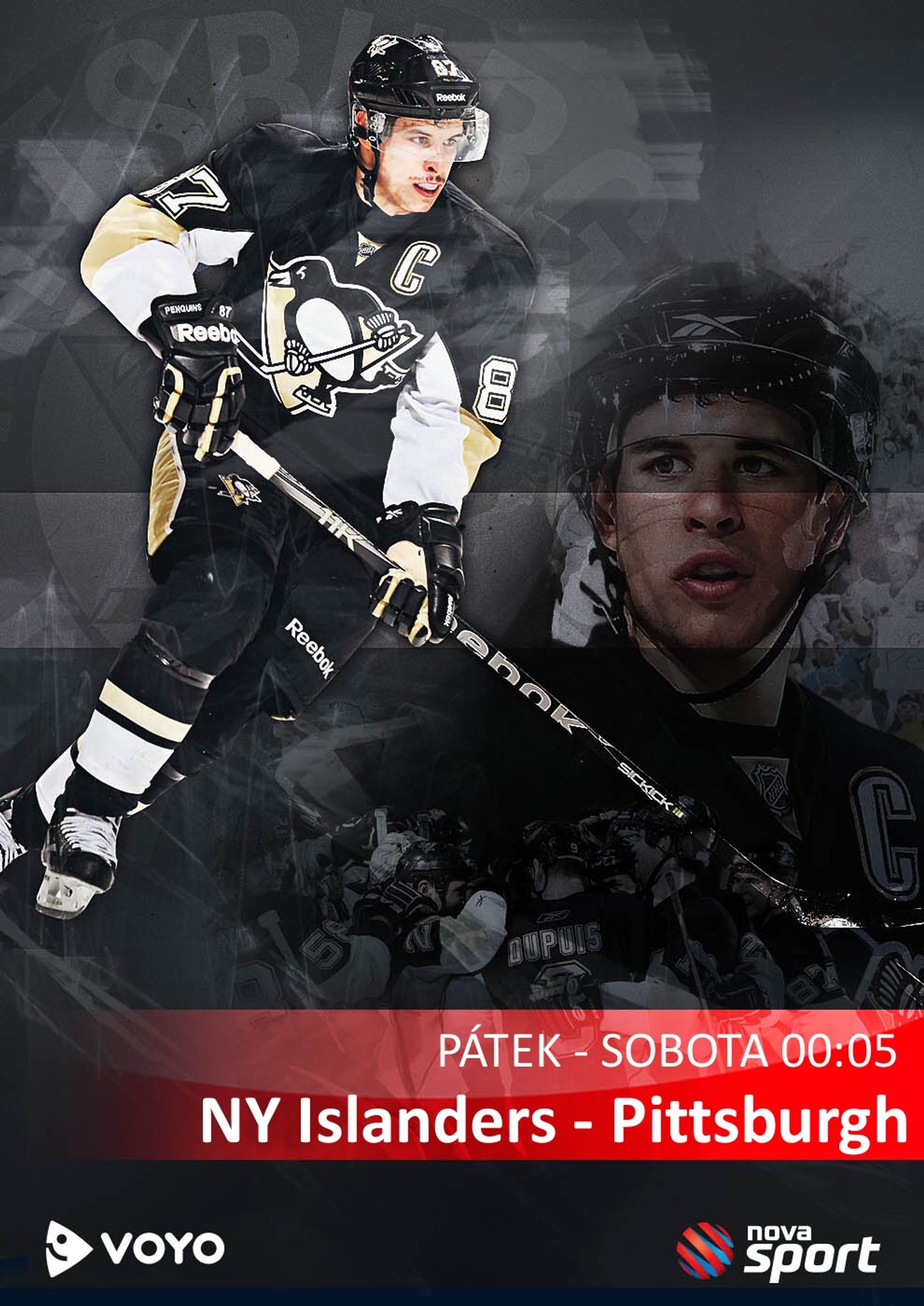 NY Islanders - Pittsburgh NHL - GALERIE: Psí krasavci (10/10)