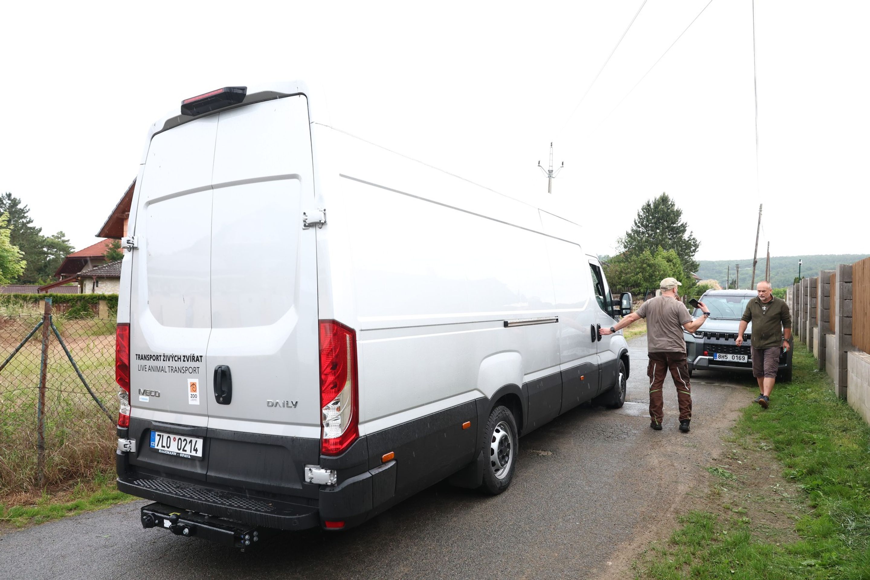 Odvoz lvice Elsy  - Odvoz lvice Elsy od Karlose Vémoly (2/5)
