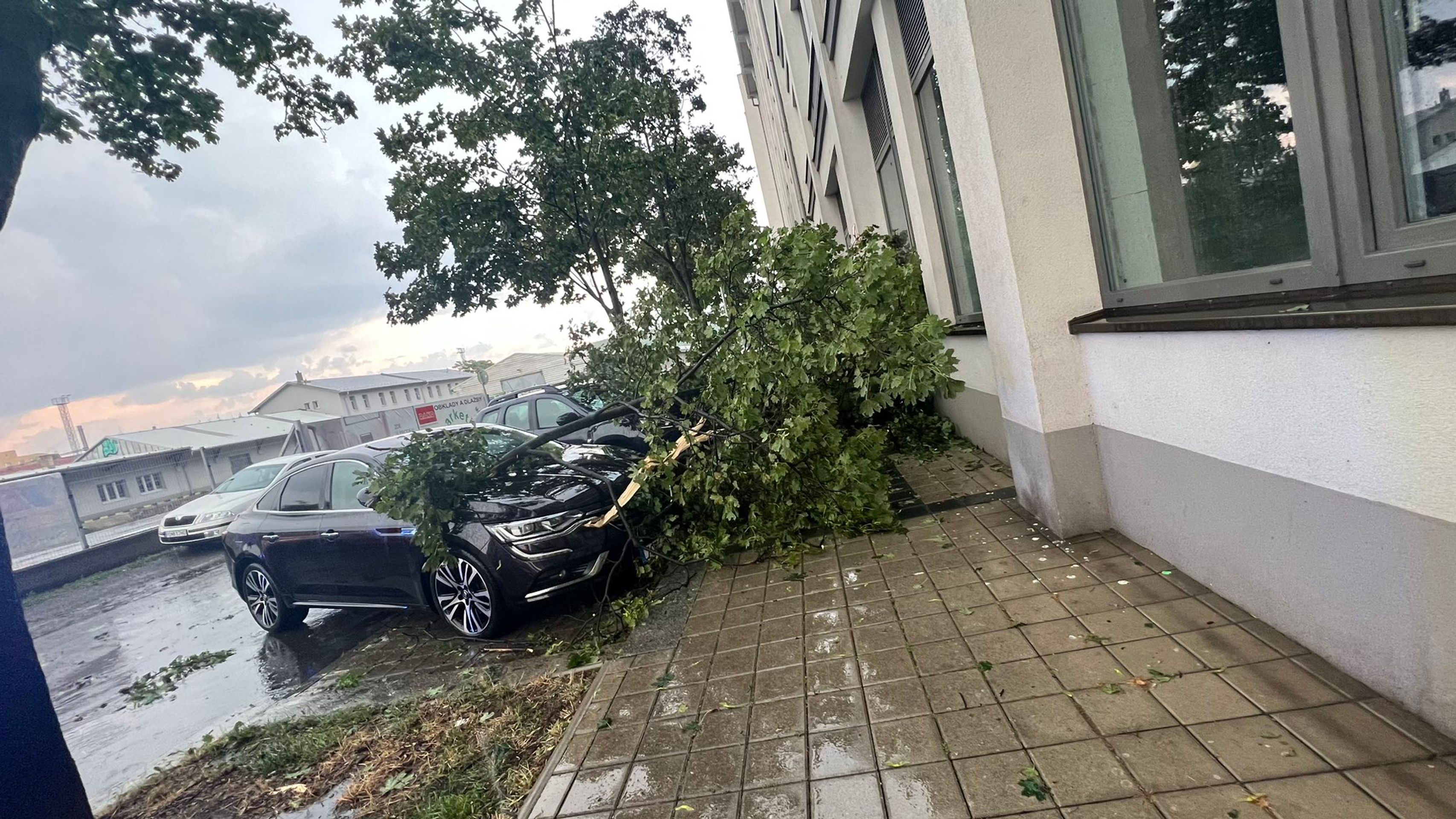 Následky bouřek v Praze - Následky bouřek (13/18)