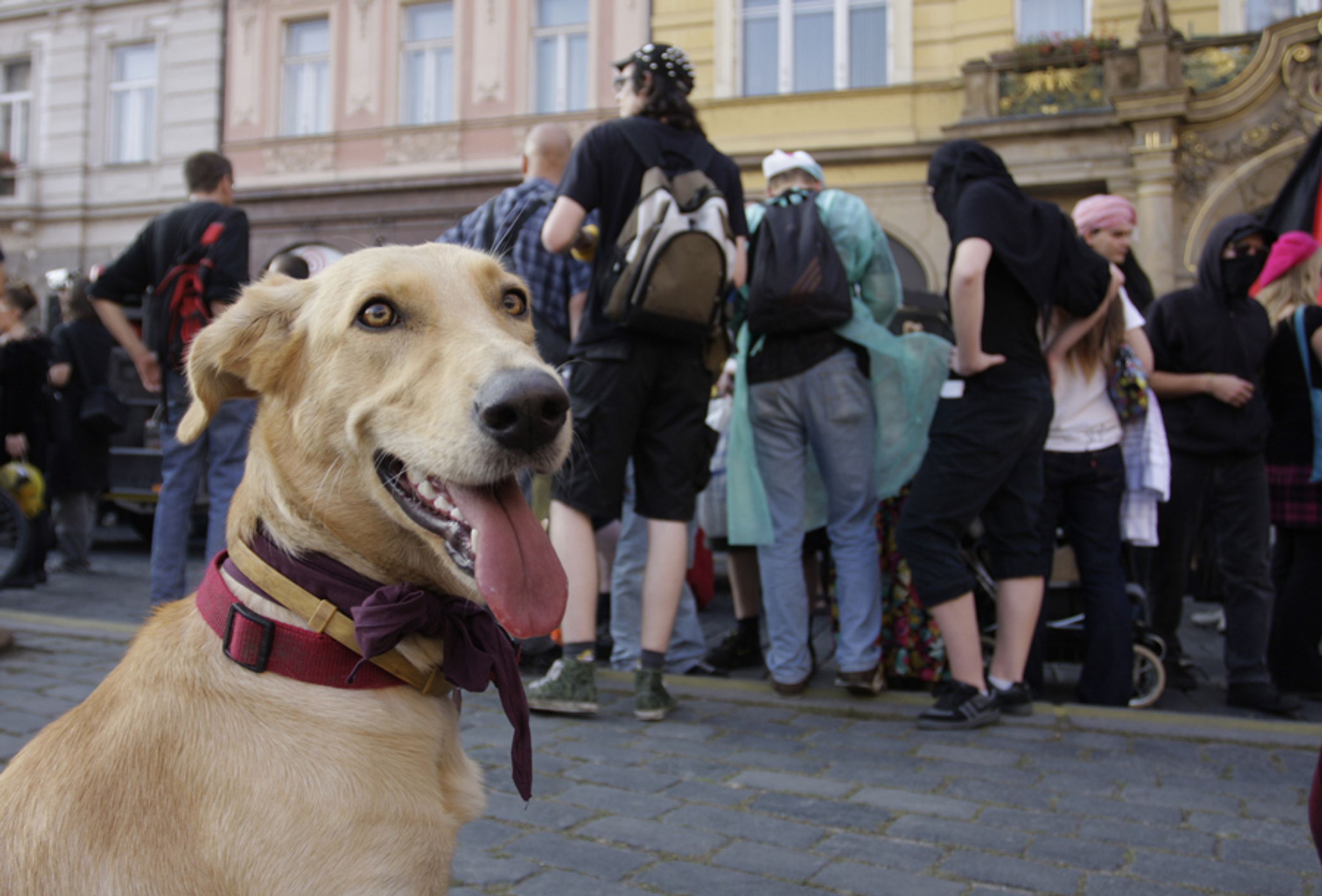 Na 1500 squaterů dovádělo v centru Prahy-23 - Na 1500 squaterů dovádělo v centru Prahy (23/39)