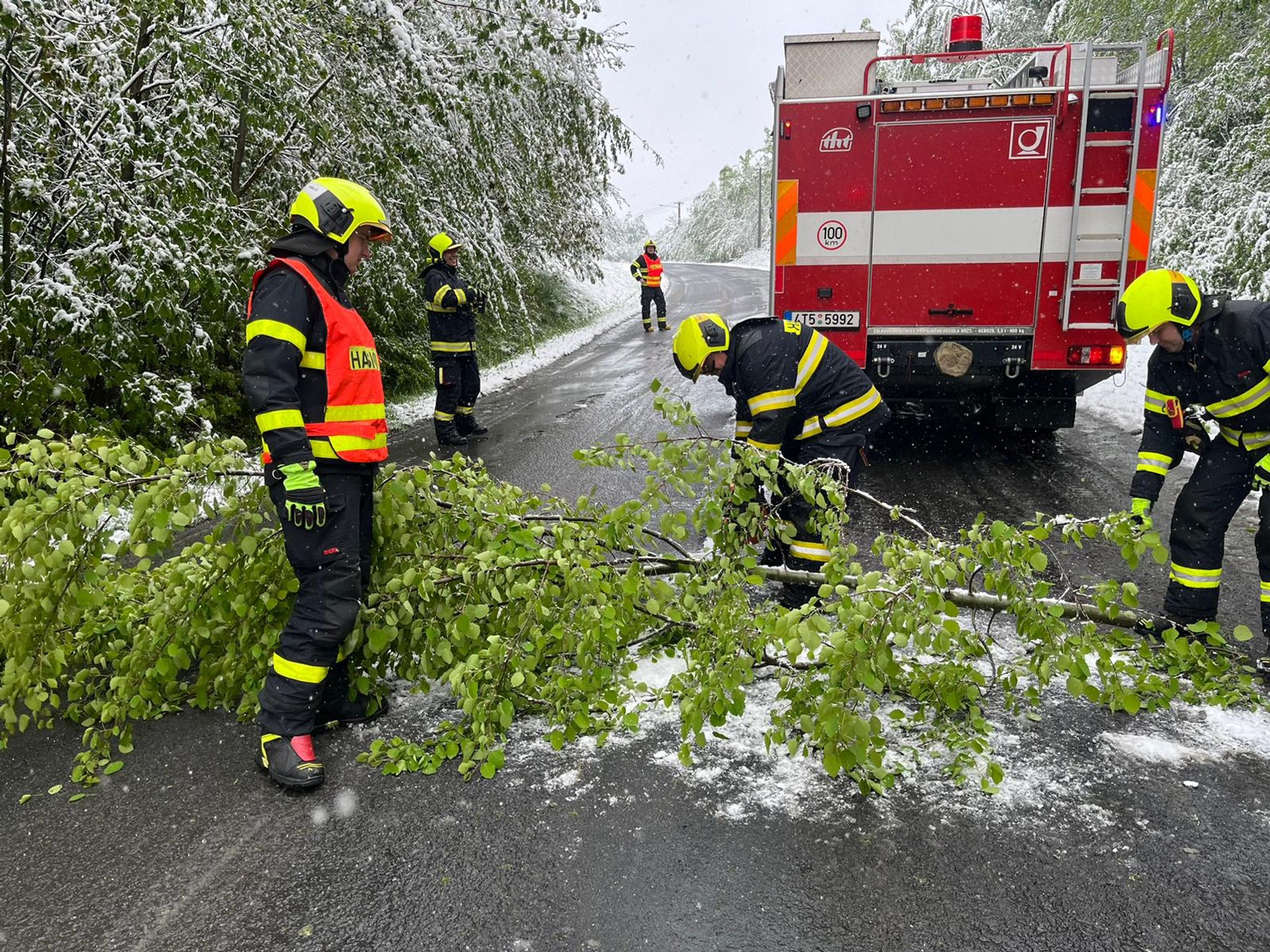 Kalamita v Moravskoslezském kraji - Sněhová kalamita v Česku (12/22)