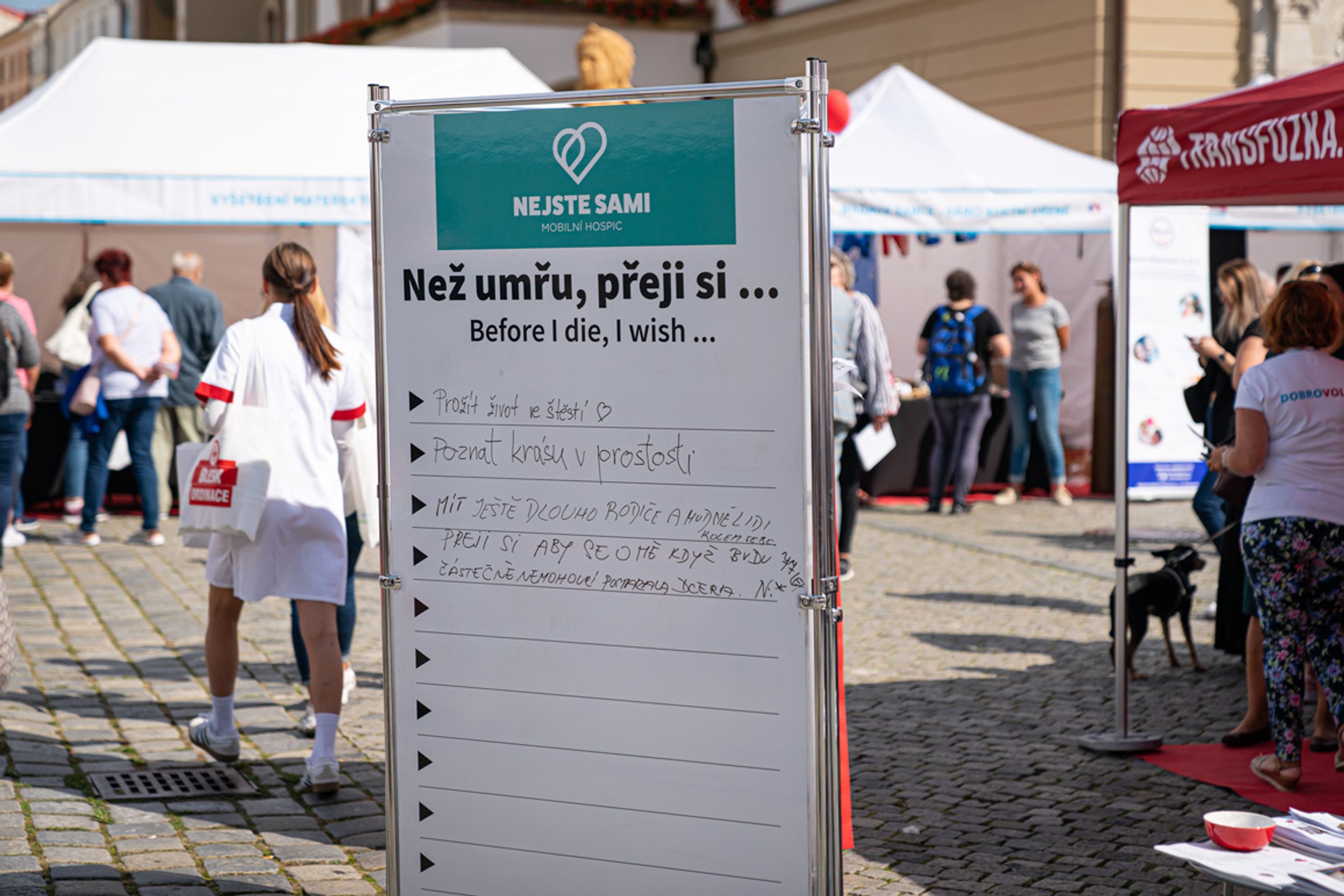 Akce Blesk Ordinace (2) - Akce Blesk Ordinace (2/6)
