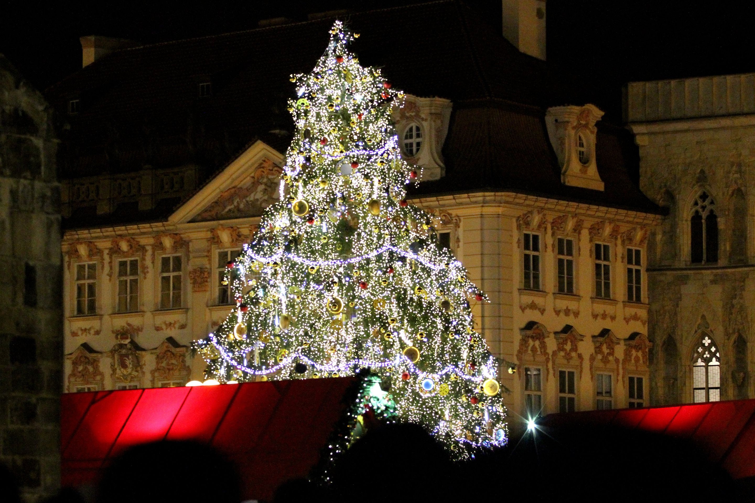 Vánoční strom na Staroměstském náměstí - 2013 - GALERIE: Vánoční stromy na Staroměstském náměstí (7/11)