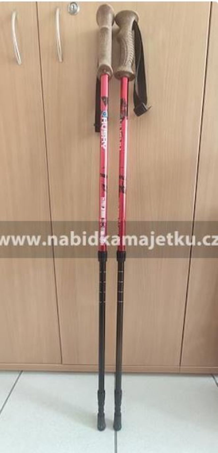 NABÍDKA MAJETKU STÁTU - Hole na NORDIC WALKING - GALERIE: Nabídka majetku (10/11)