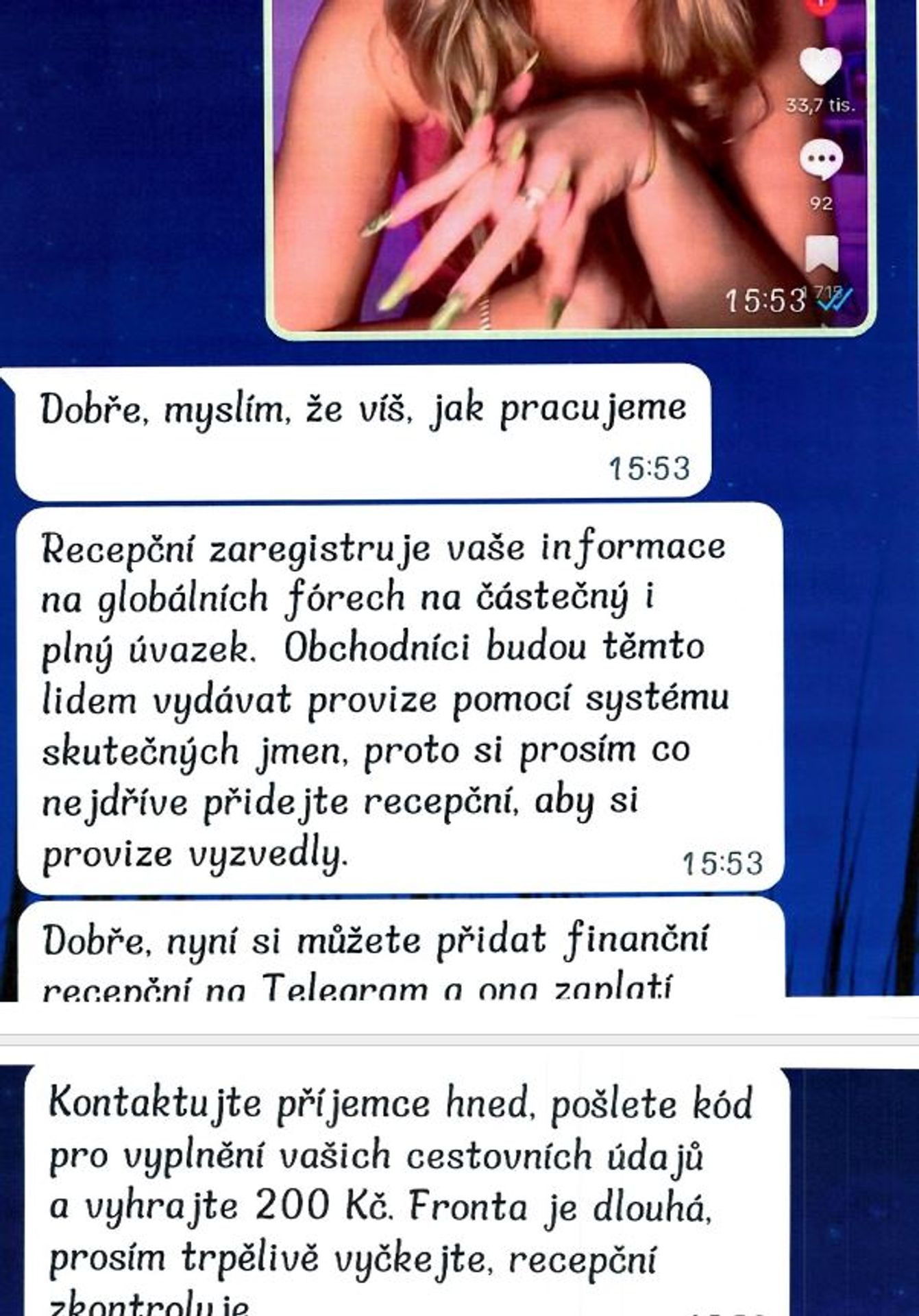 Internetový podvod (5) - Nový internetový podvod (13/14)