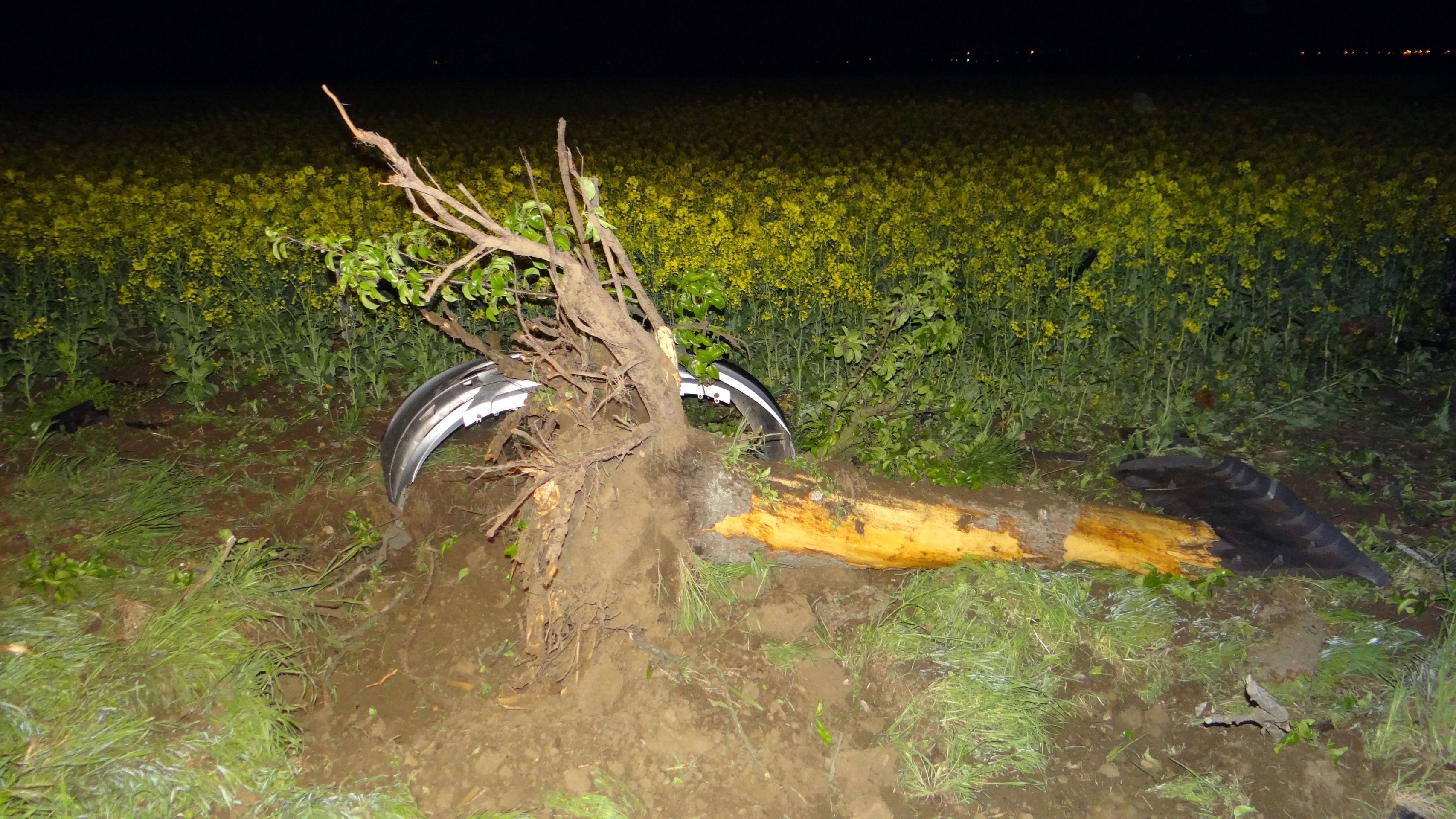 Auto přerazilo strom a skoro se rozlomilo - GALERIE: Tragická nehoda u Prahy (4/4)
