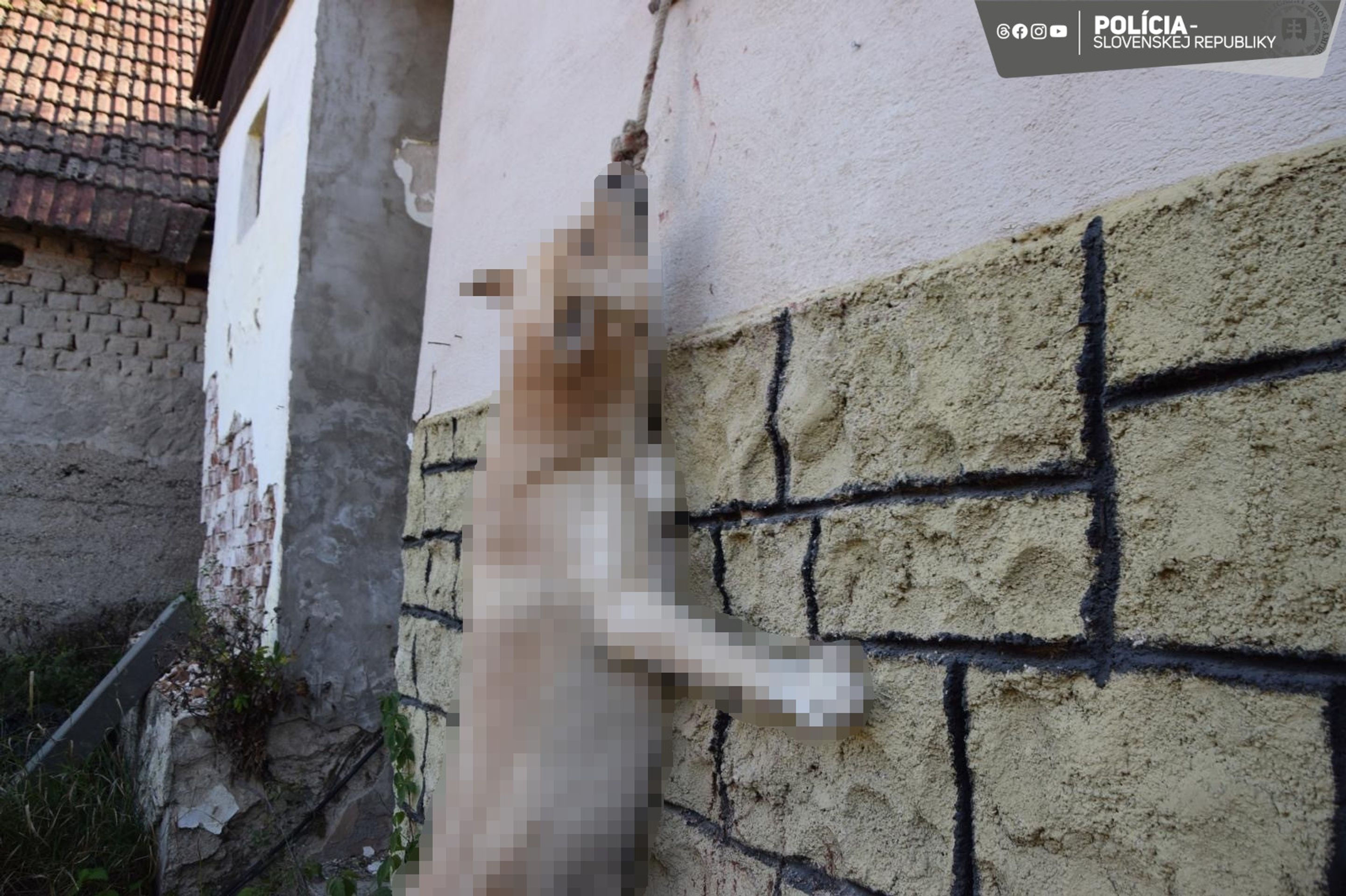 Utýraný pes - Utýraný pes (5/5)