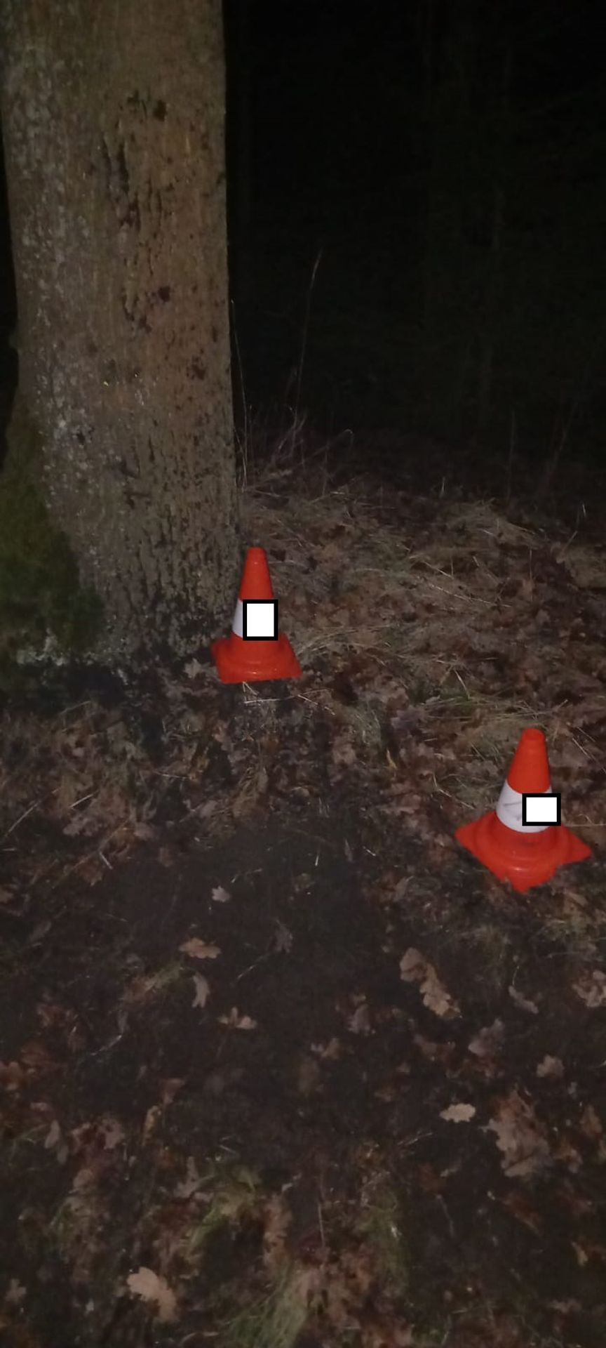 Tragická nehoda na Táborsku - Tragická nehoda na Táborsku (1/4)
