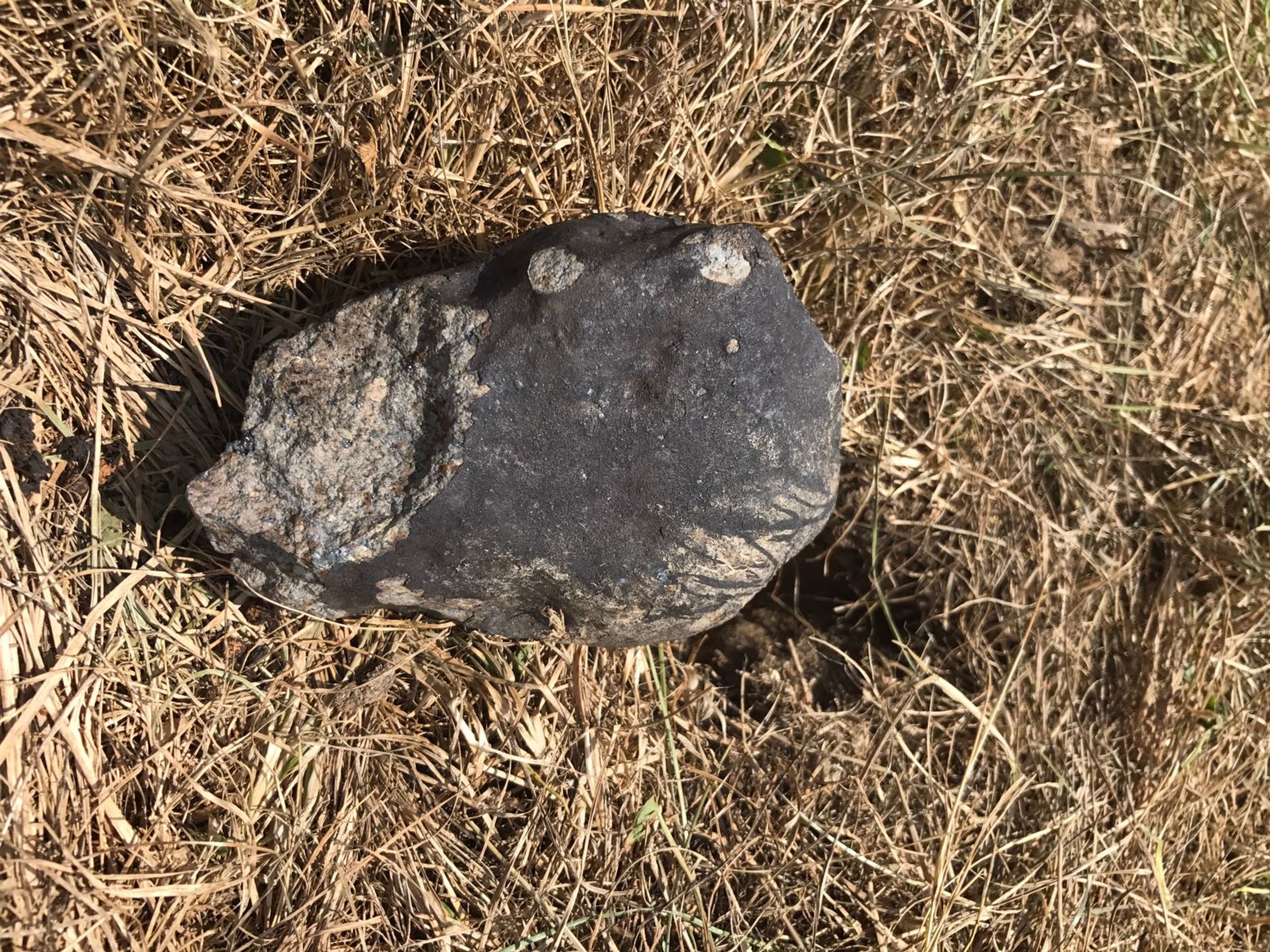 Druhý a největší meteorit Renchen (M2) - GALERIE: Meteorit Renchen (1/5)