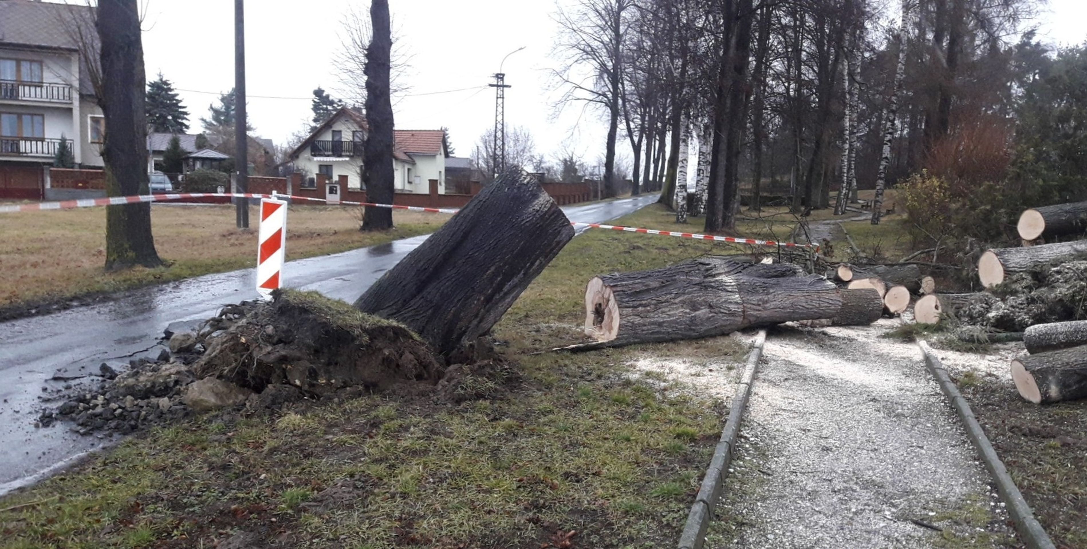 Silný vítr na Plzeňsku - 6 - GALERIE: Silný vítr v Plzeňském kraji (6/11)