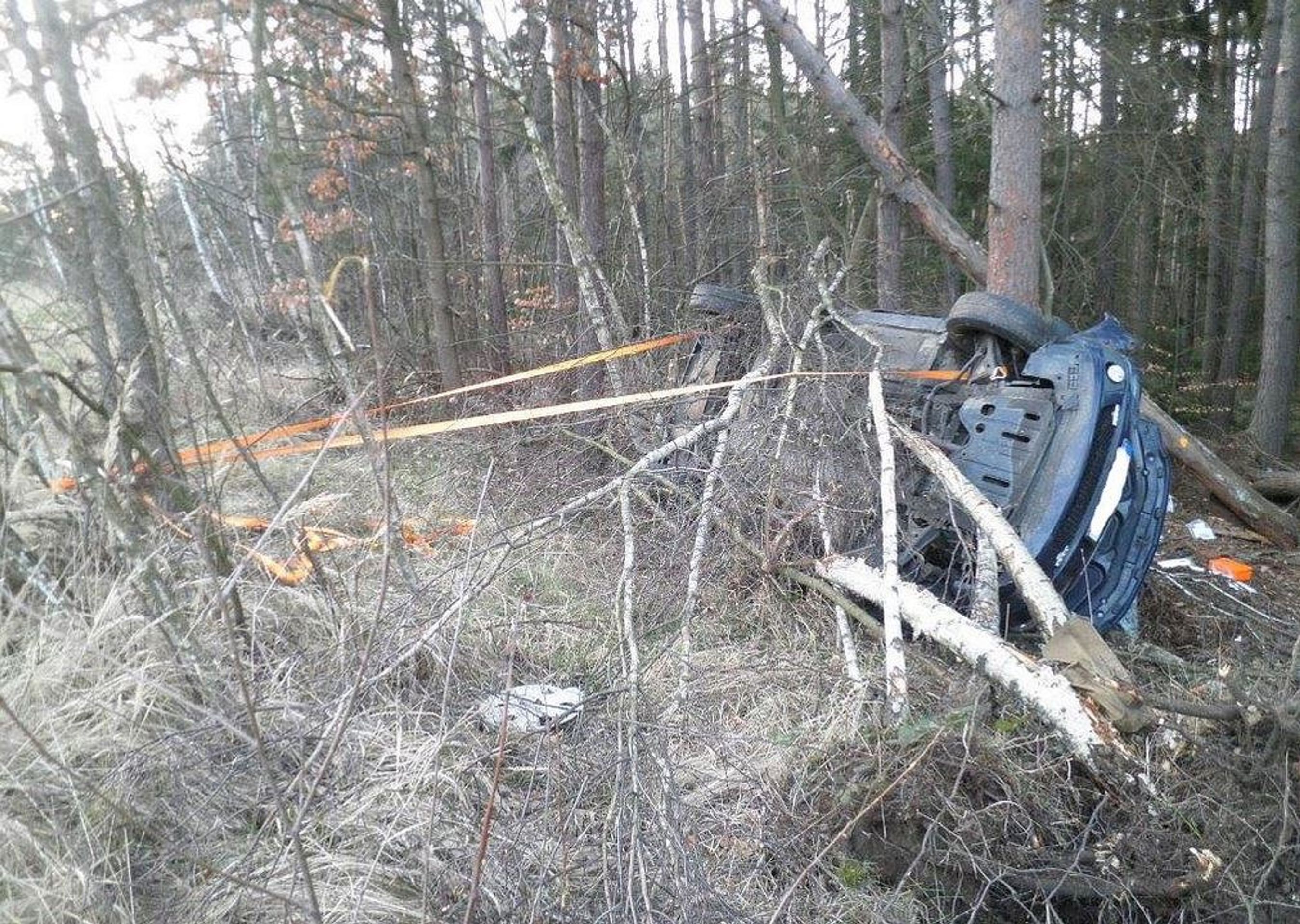 Auto vyletělo z dálnice do lesa - GALERIE: Auto v lese (1/6)