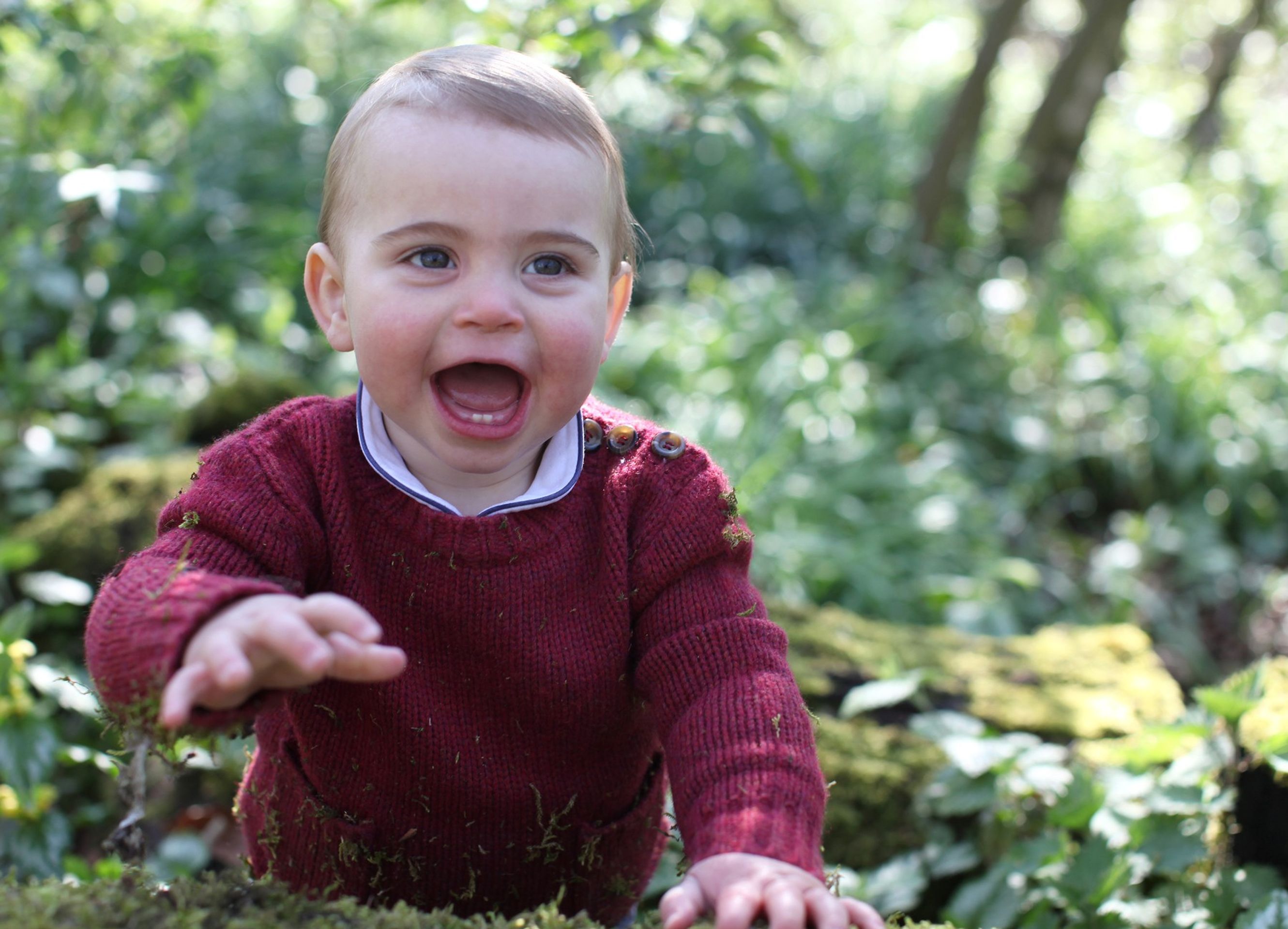 Oficiální fotografie k prvním narozeninám prince Louise (2) - Oficiální narozeninové fotografie královské rodiny (8/24)