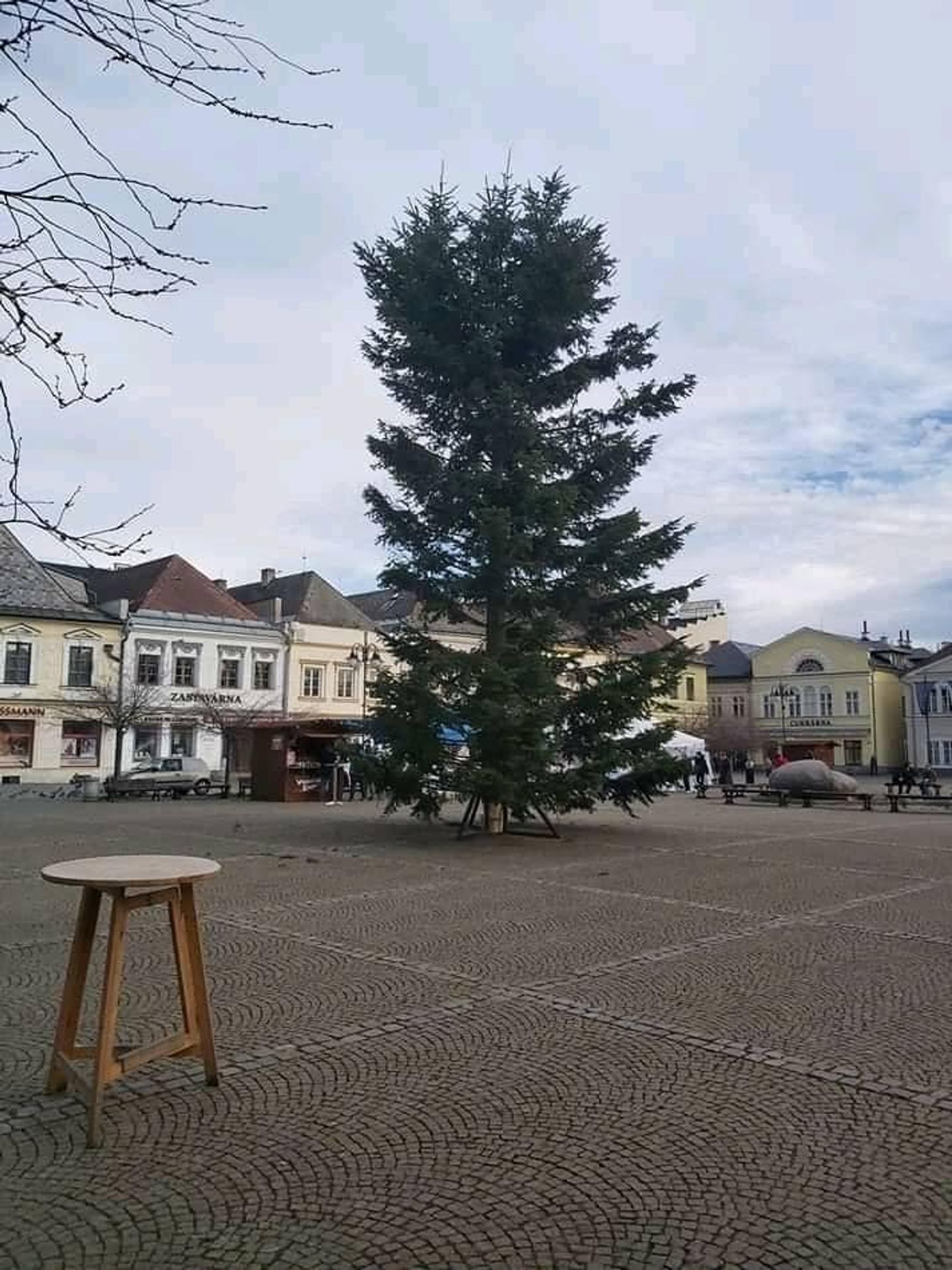 Vánoční stromy ve městech 2019 - 1 - GALERIE: Vánoční stromy ve městech 2019 (5/9)