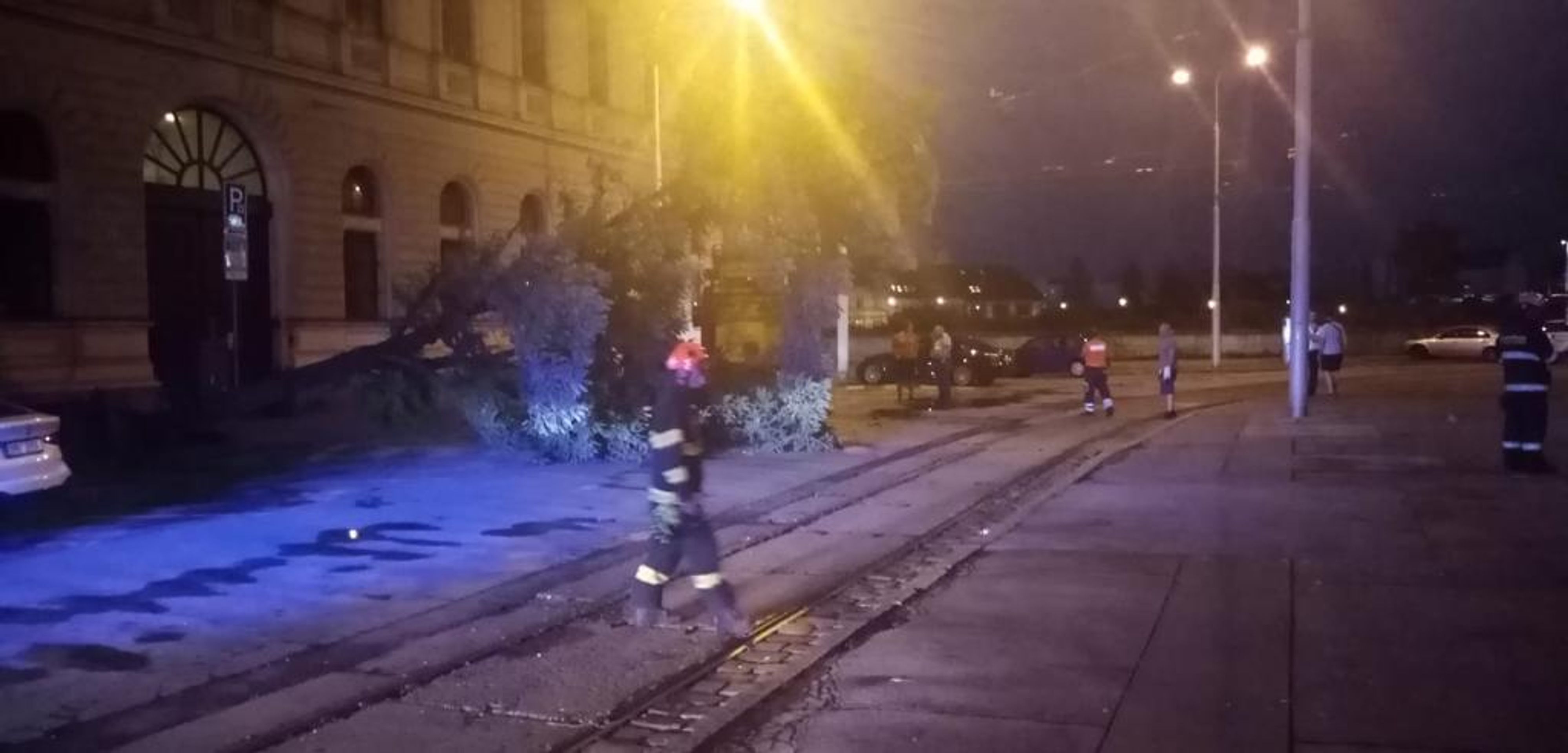 Na brněnském náměstí spadl po bouři strom - 2 - GALERIE: Následky bouřky v Brně (3/4)