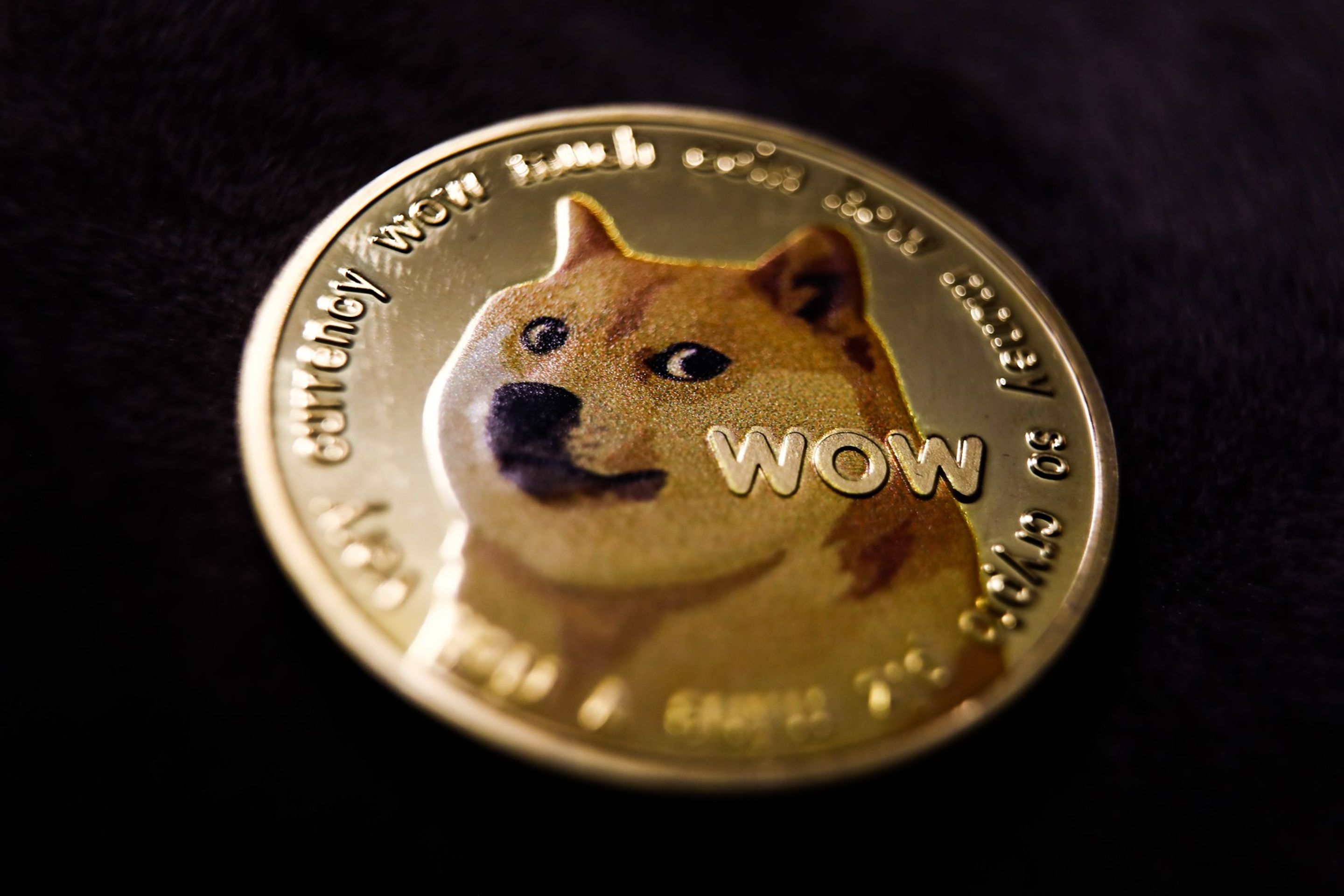 Dogecoin - Pes Kabosu (3/4)