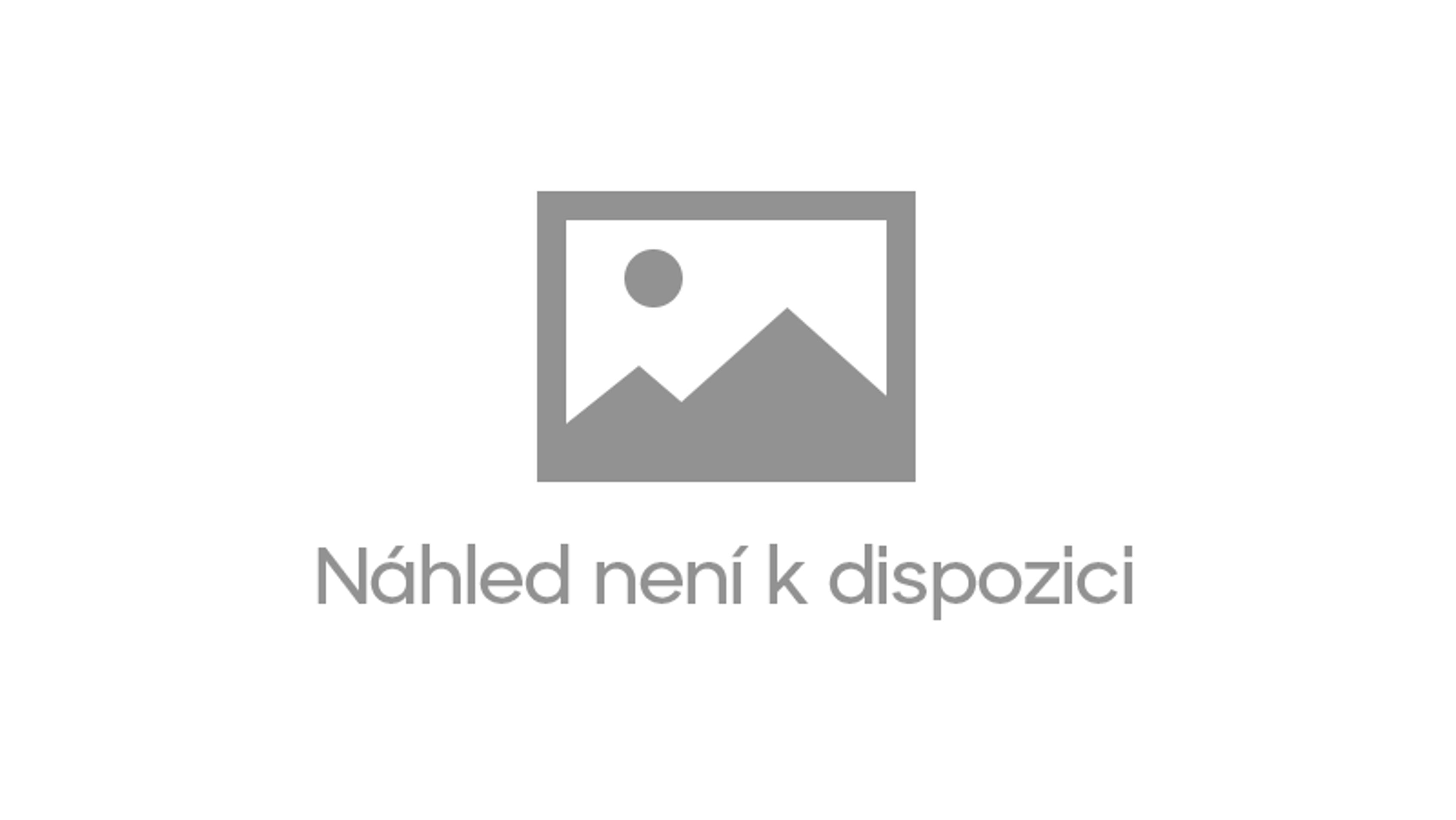 Tykadlaci - 11 - Tykadláci na volebních billboardech (11/21)