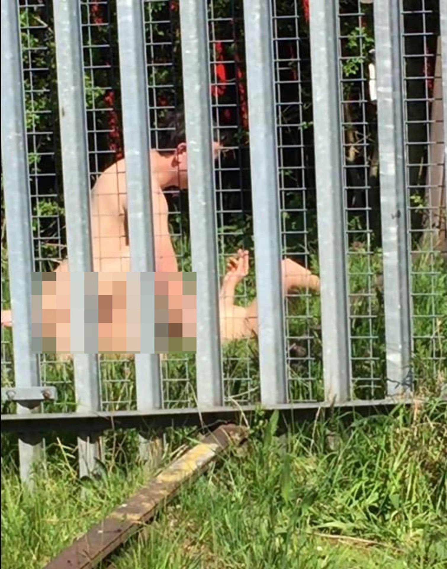Nahý pár měl sex kousek od školy - 3 - GALERIE: Nahý pár měl sex kousek od školy (3/5)