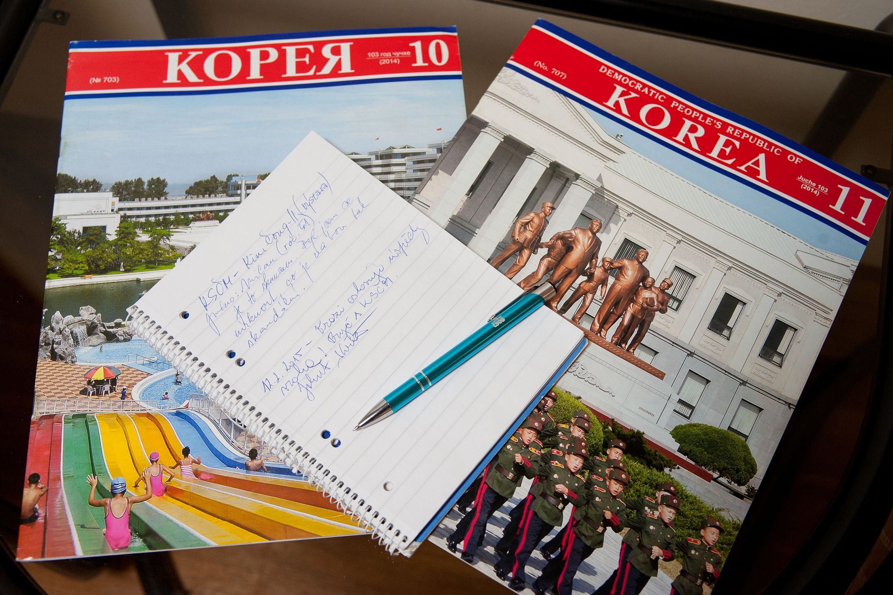 Výstava na počest zesnulého severokorejského diktátora Kim Čong-ila - 2 - GALERIE: Výstava na počest zesnulého severokorejského diktátora Kim Čong-ila (7/9)