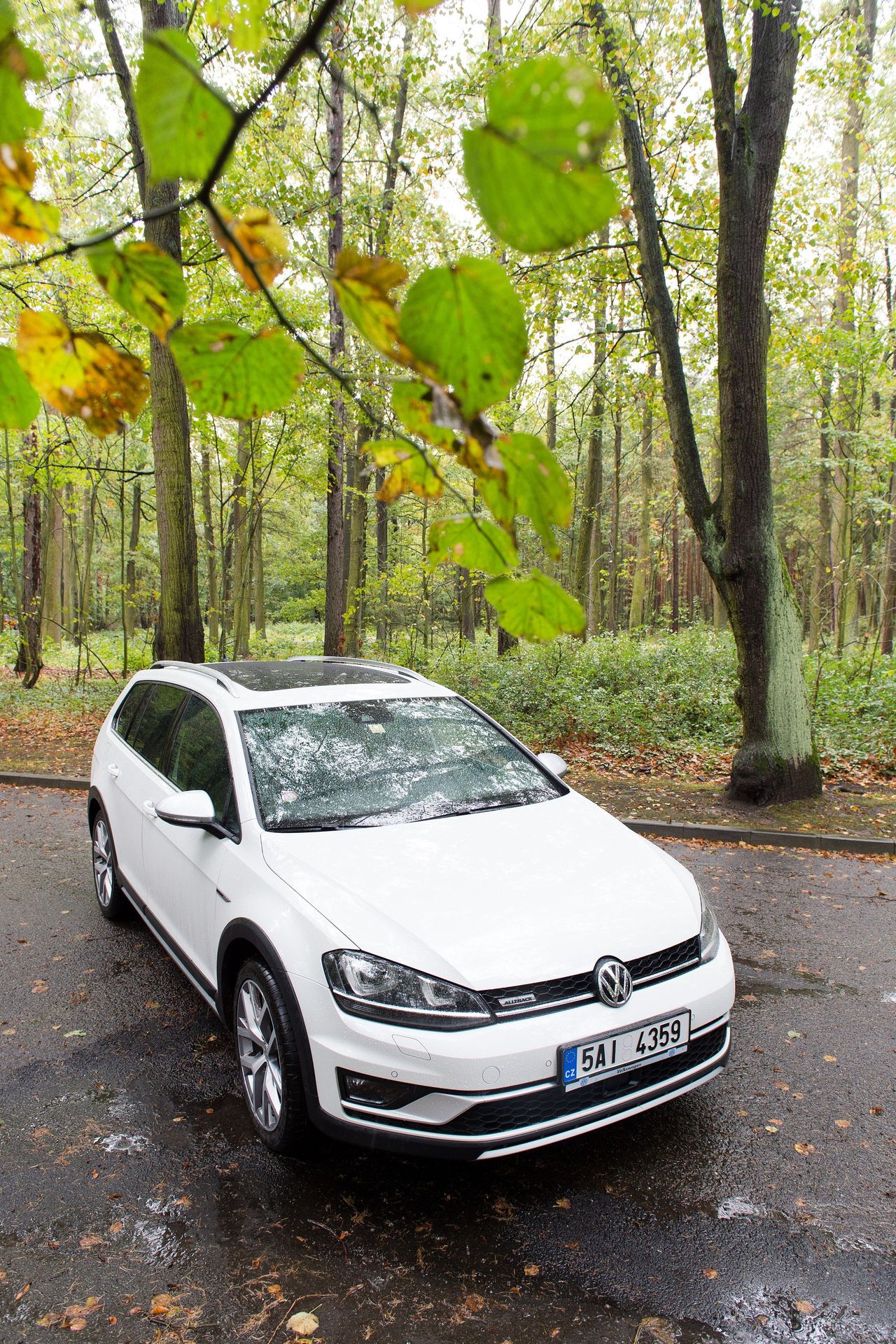 Volkswagen Golf Alltrack - 6 - GALERIE: Volkswagen Golf Alltrack (11/13)
