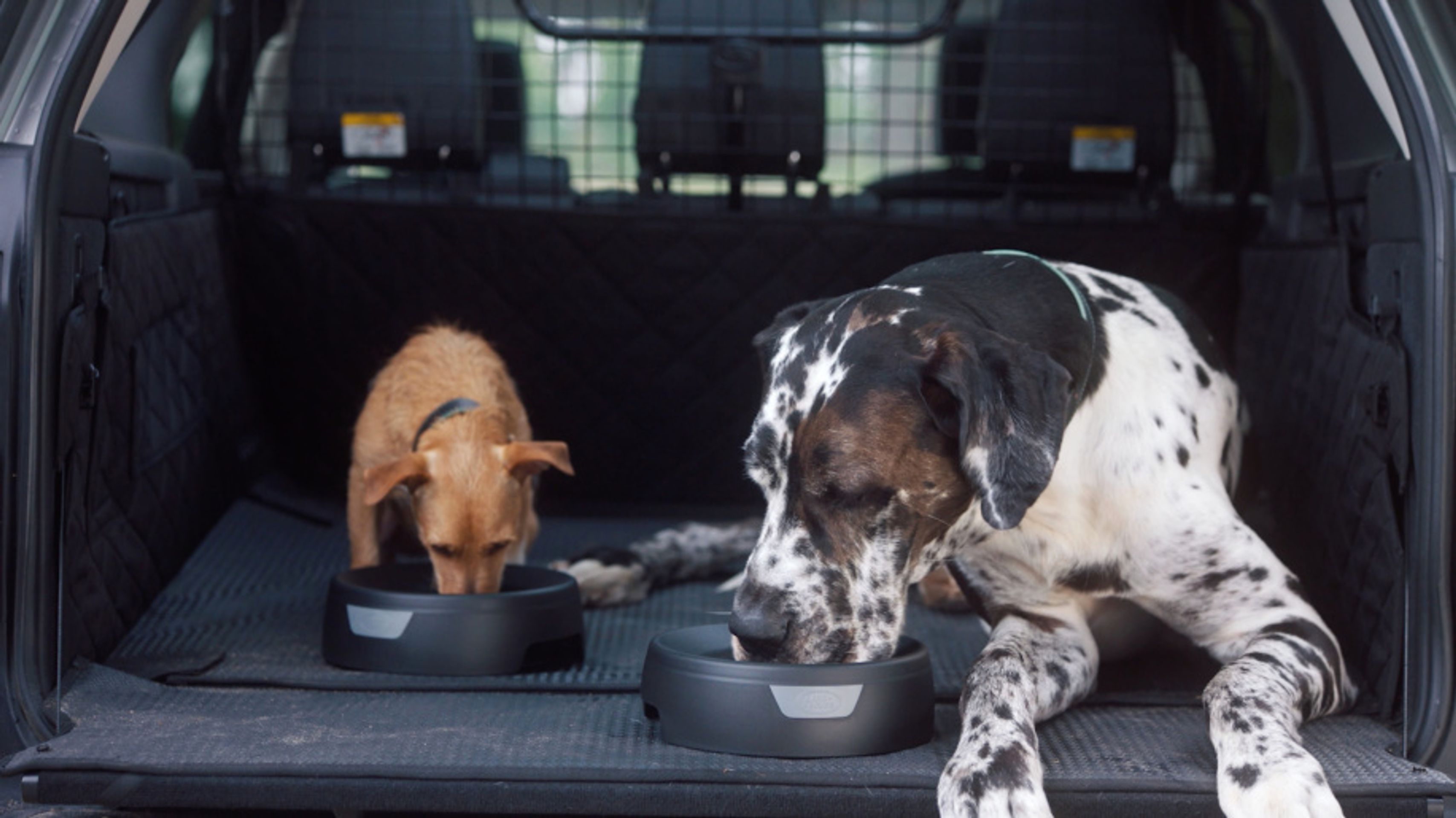 Výbava pro psy od Land Roveru - 22 - Fotogalerie: Psí výbava od Land Roveru (6/12)