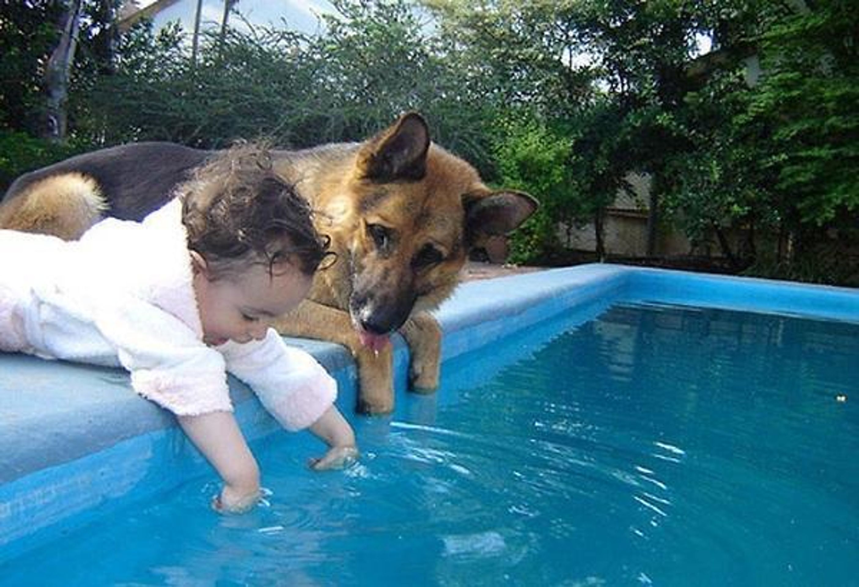 Psi a děti jsou nerozluční kamarádi - 1 - GALERIE: Přátelství mezi psem a dítětem (1/10)