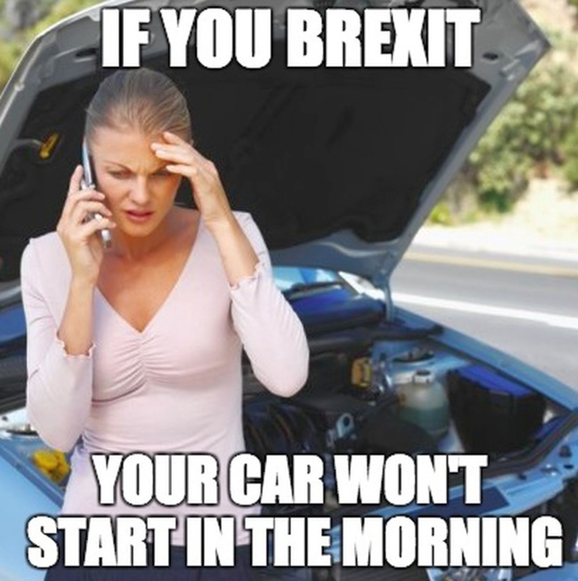 Vtipy na Brexit - 16 - GALERIE: Vtipy na Brexit (13/22)