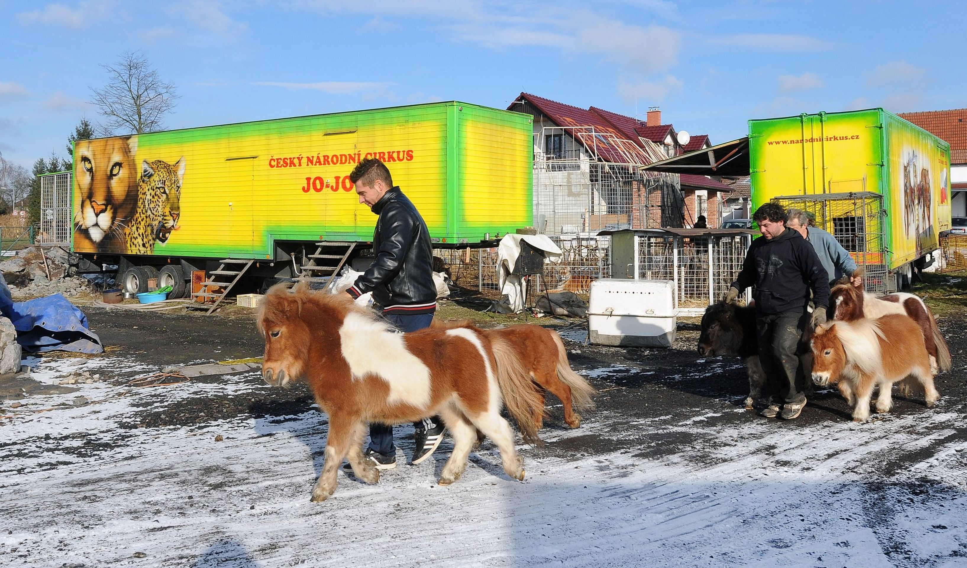 Cirkus Jo - Joo v zimě - 13 - GALERIE: Na zimovišti cirkusus Jo - Joo (12/23)