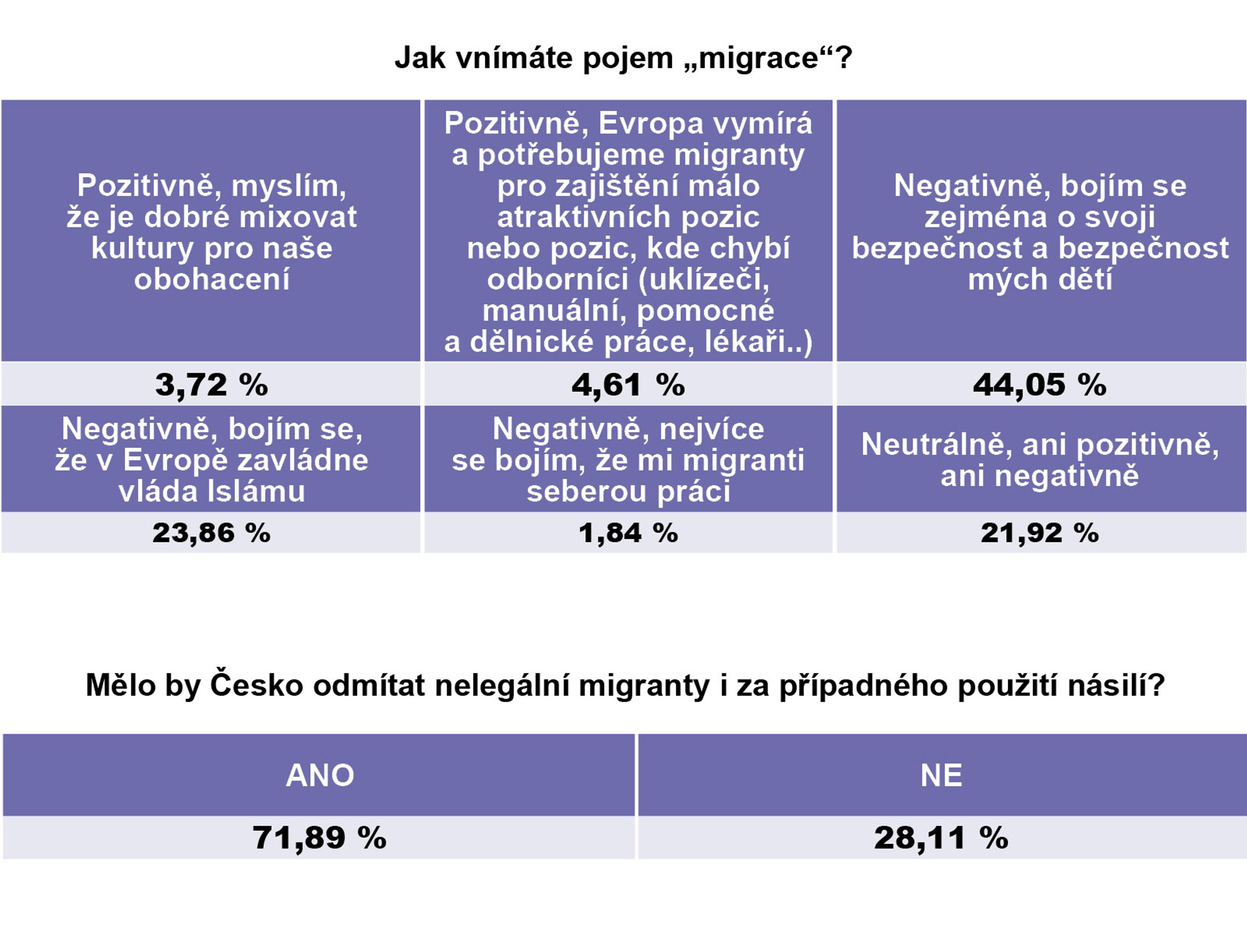 Průzkum - Češi jsou tolerantní národ. Bojí se ale migrantů a teroristického útoku, ukázal průzkum - 6 - GALERIE: Češi jsou tolerantní národ. Bojí se ale migrantů a teroristického útoku, ukázal průzkum (6/6)