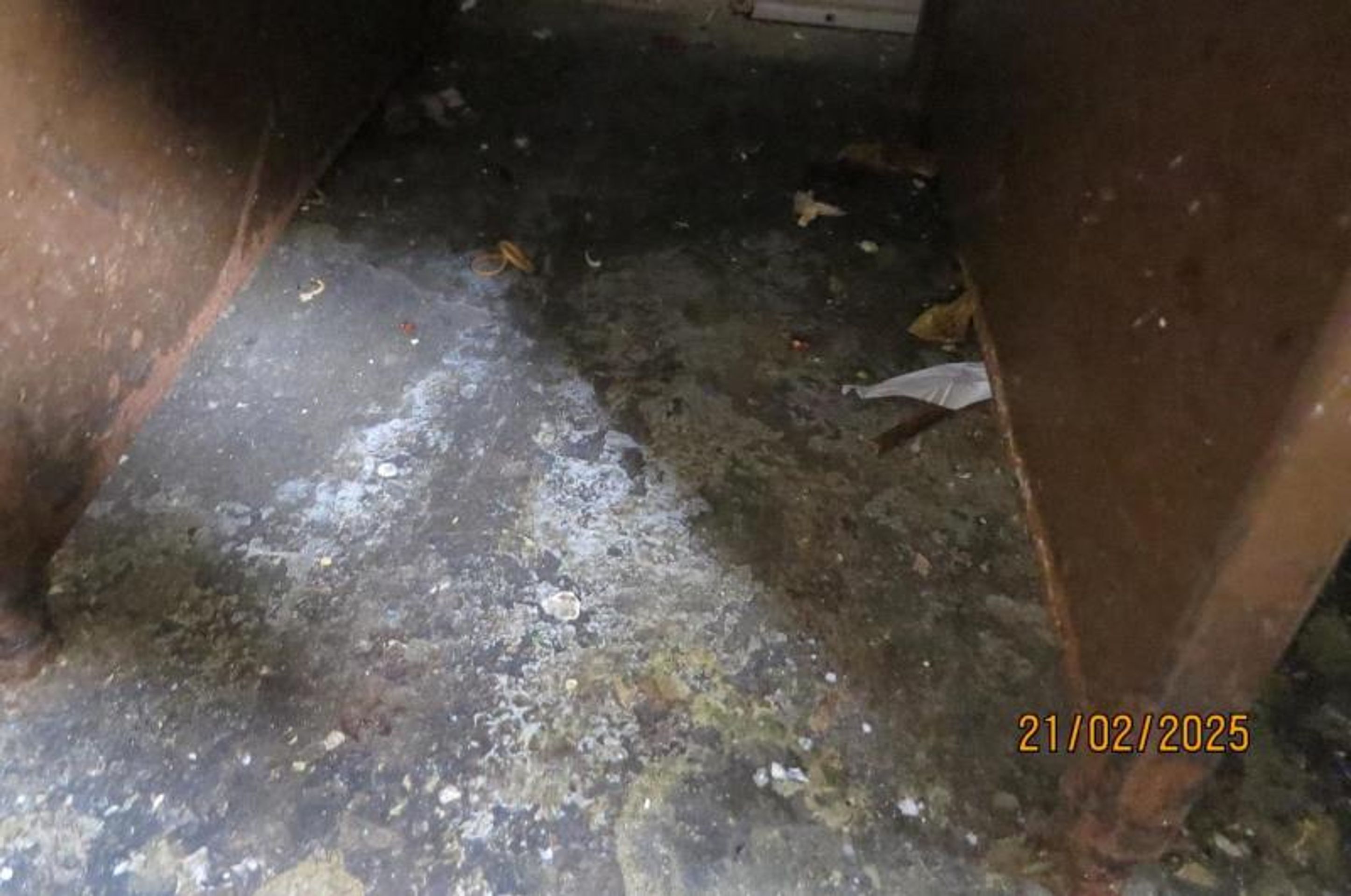 Bistro Bamboo, Šumperk - Provozovny s vážnými hygienickými nedostatky (68/70)