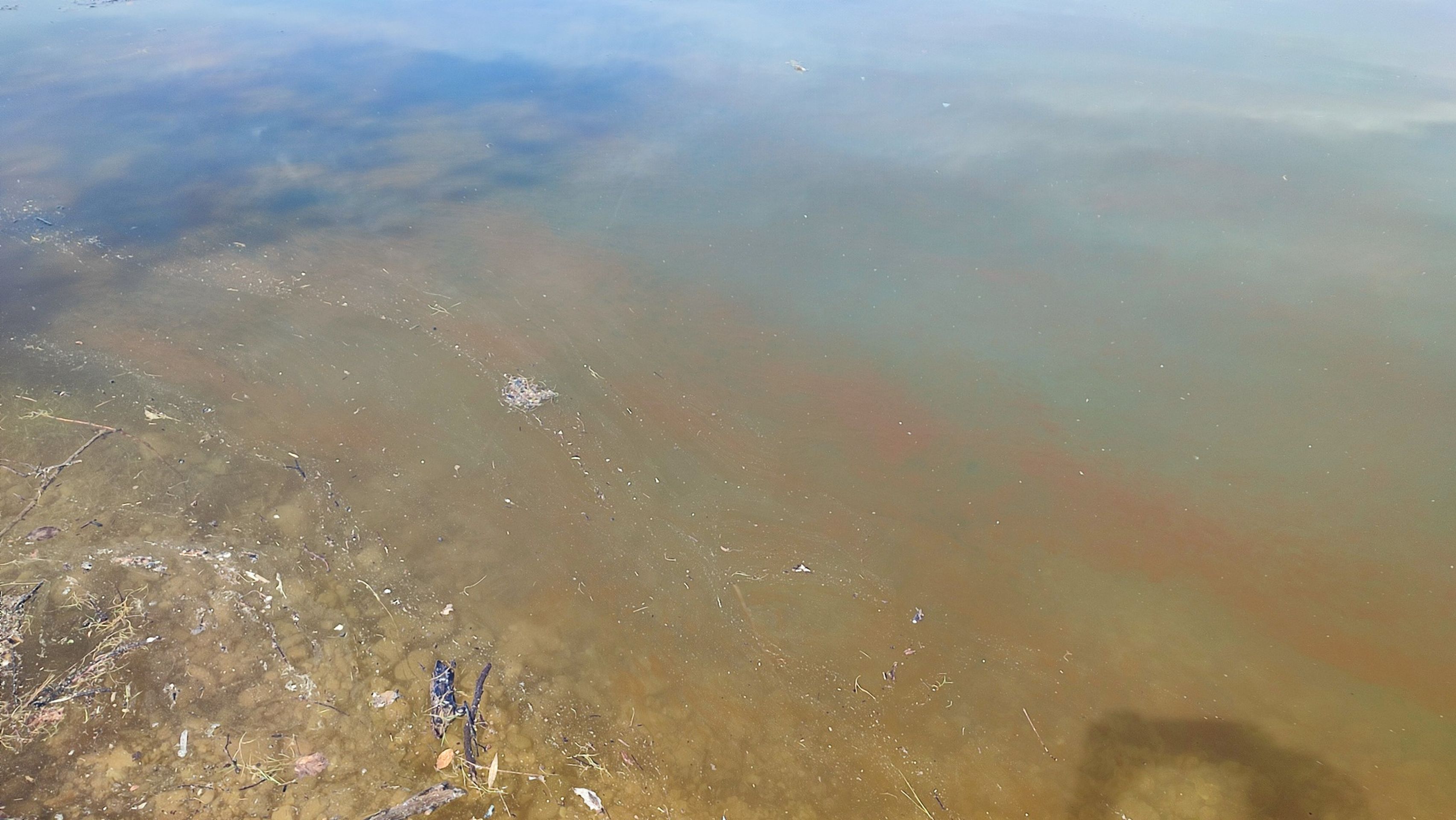 Znečištěné Jablanické jezero (2) - Znečištěné Jablanické jezero (6/12)