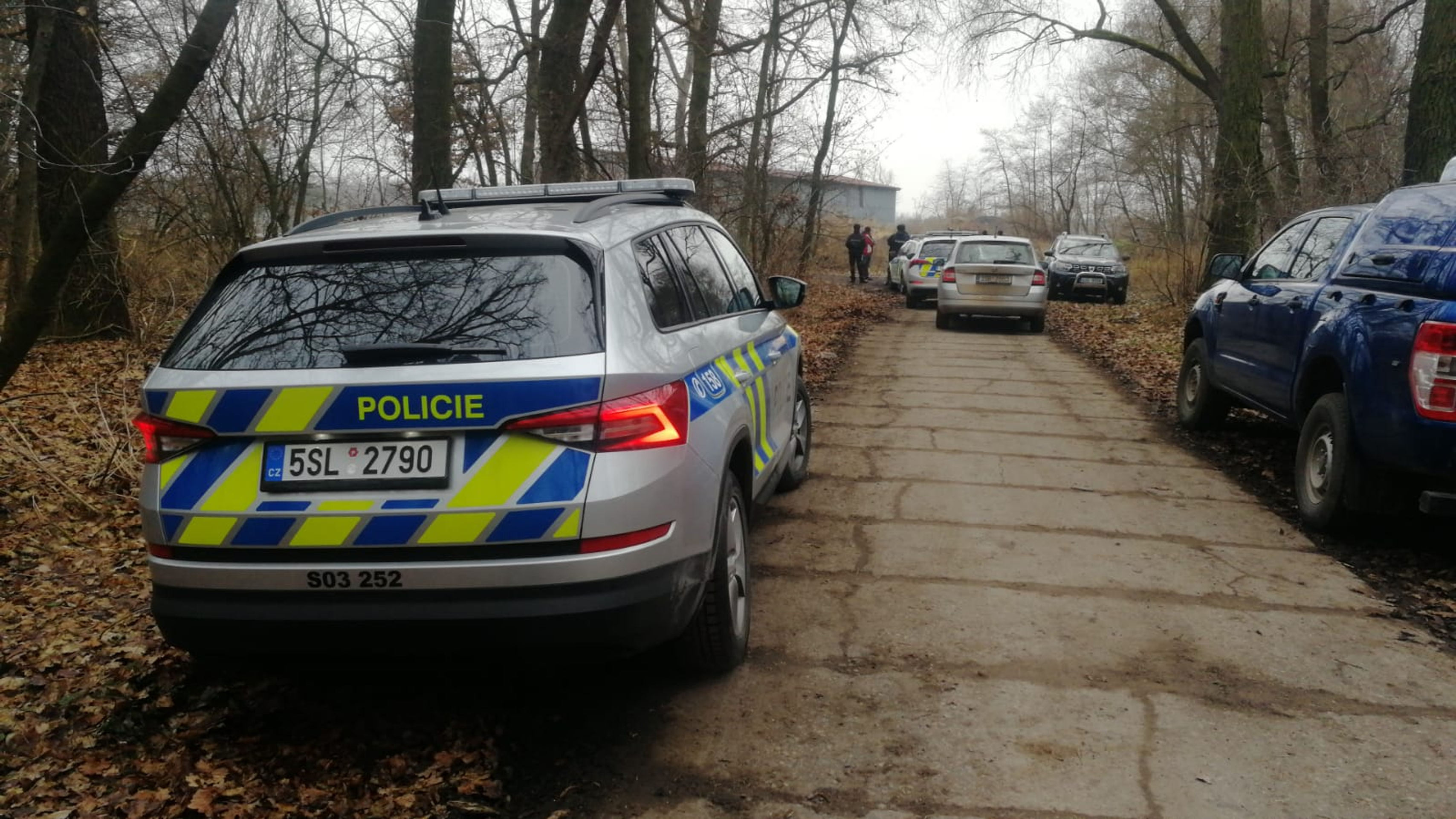 Policie - Policisté pátrají po medvědovi u Staré Boleslavi (4/4)