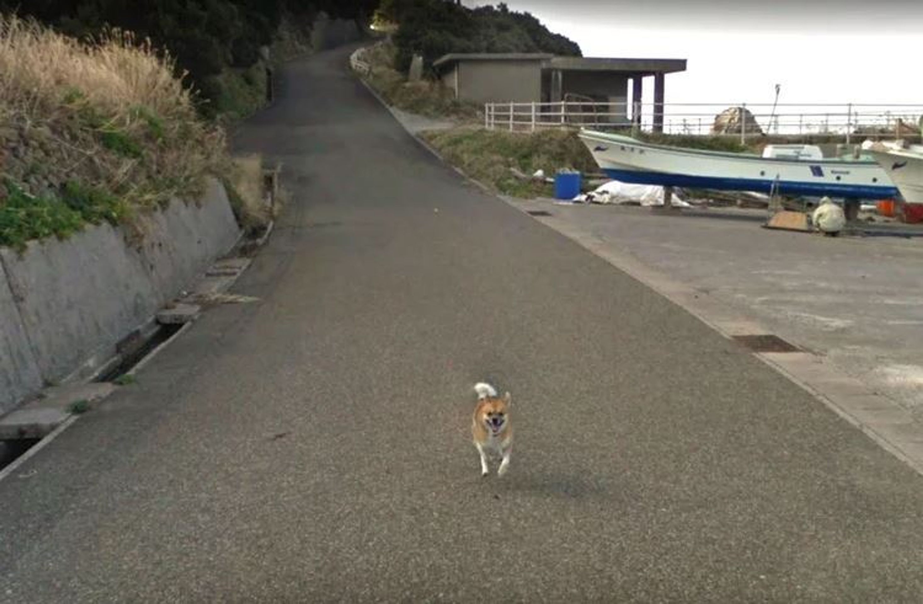 Kuriózní snímky z Google Street View - 11 - GALERIE: Kuriózní snímky z Google Street View (11/18)
