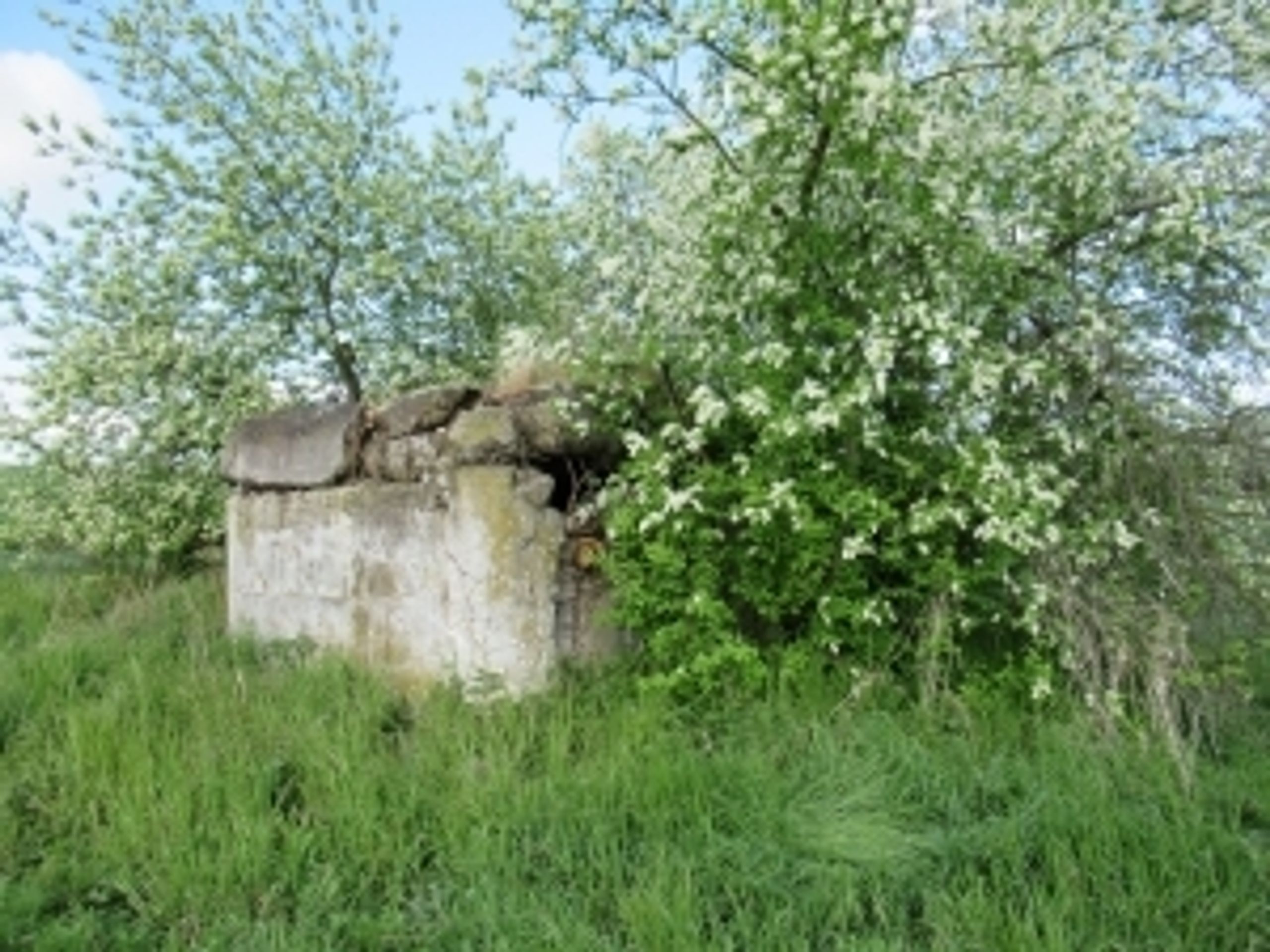 Opava - bunkr („řopík“) SLO VEČ R360P - GALERIE: Nabídka nemovitostí od Ministerstva obrany (2/50)