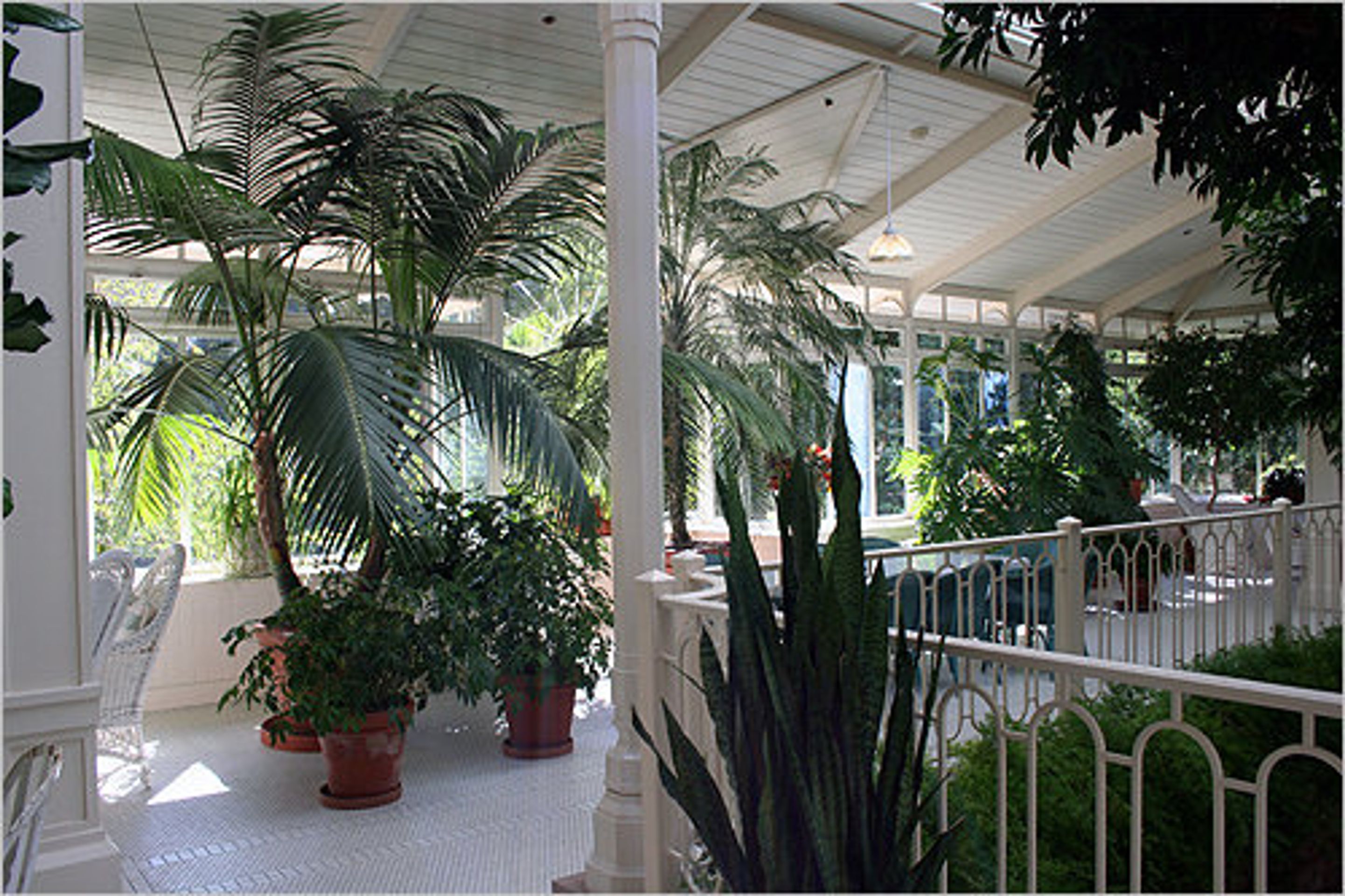 okolí | Galerie: Galerie: Skywalker ranch | TN.cz