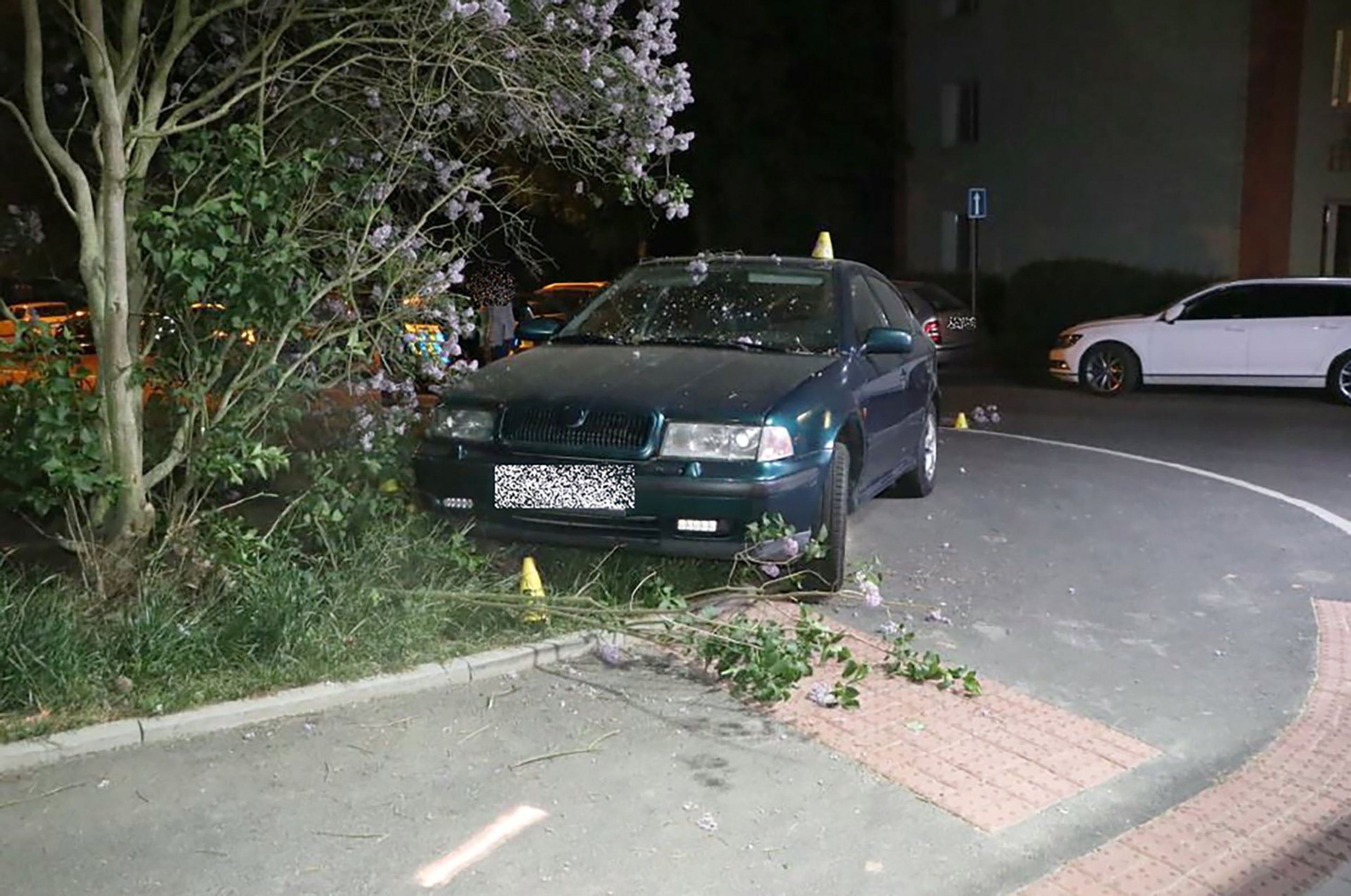 Muž autem srazil bývalou přítelkyni a muže - 2 - GALERIE: Muž autem srazil bývalou přítelkyni a muže (2/3)