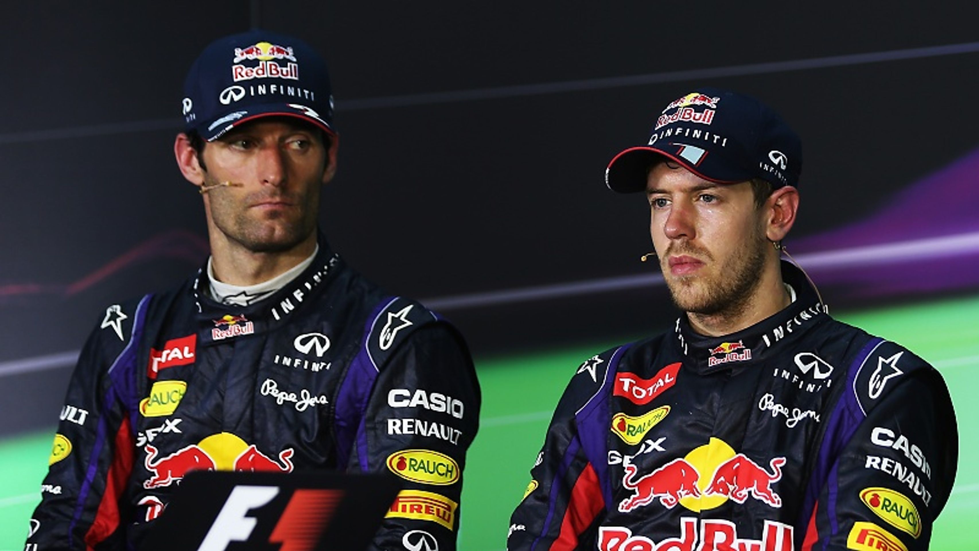 Mark Webber, Sebastian Vettel - GALERIE: Mark Webber a koala (5/5)