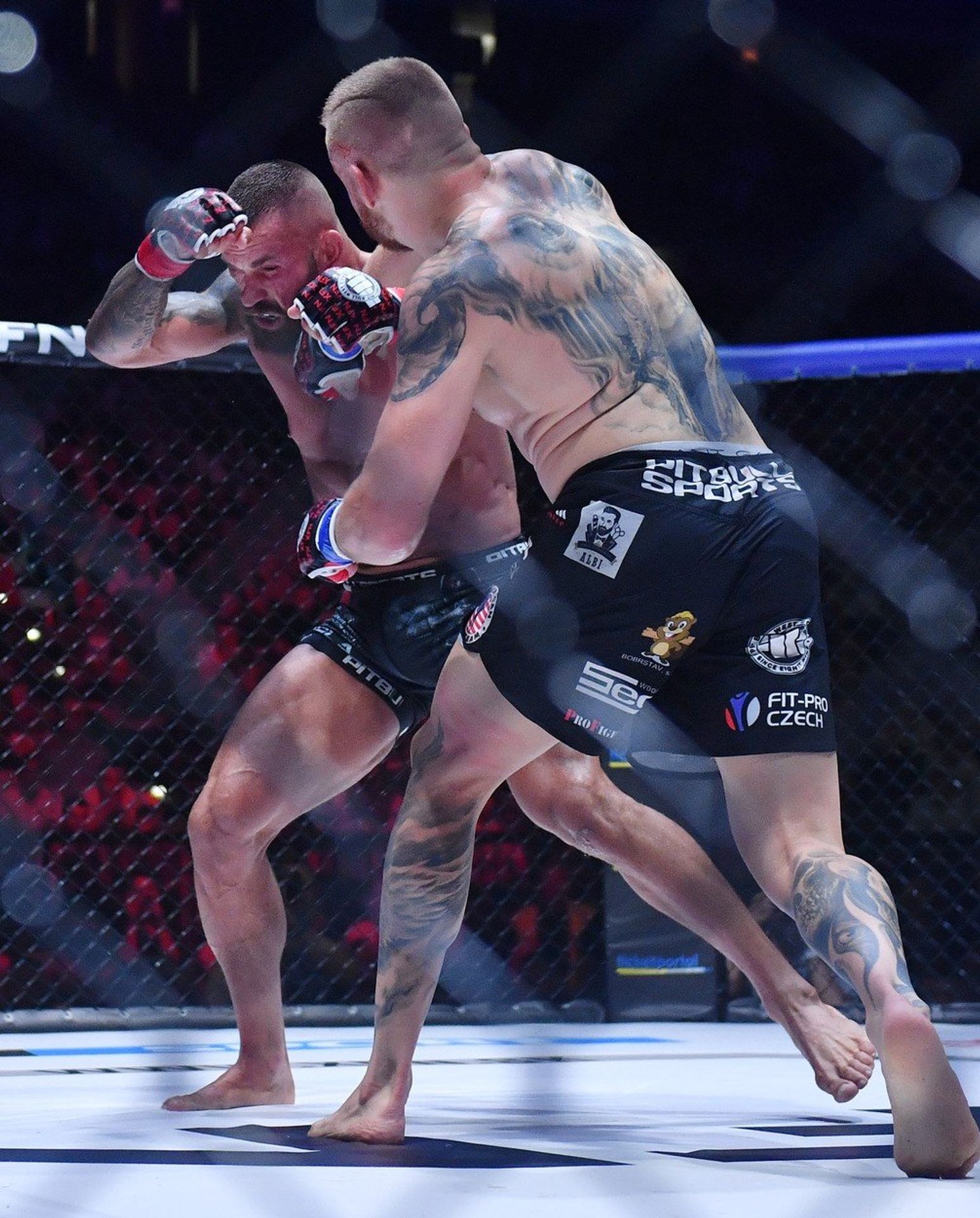 Patrik Kincl a Karlos Vémola - GALERIE: Souboj českých zápasníků MMA (3/4)