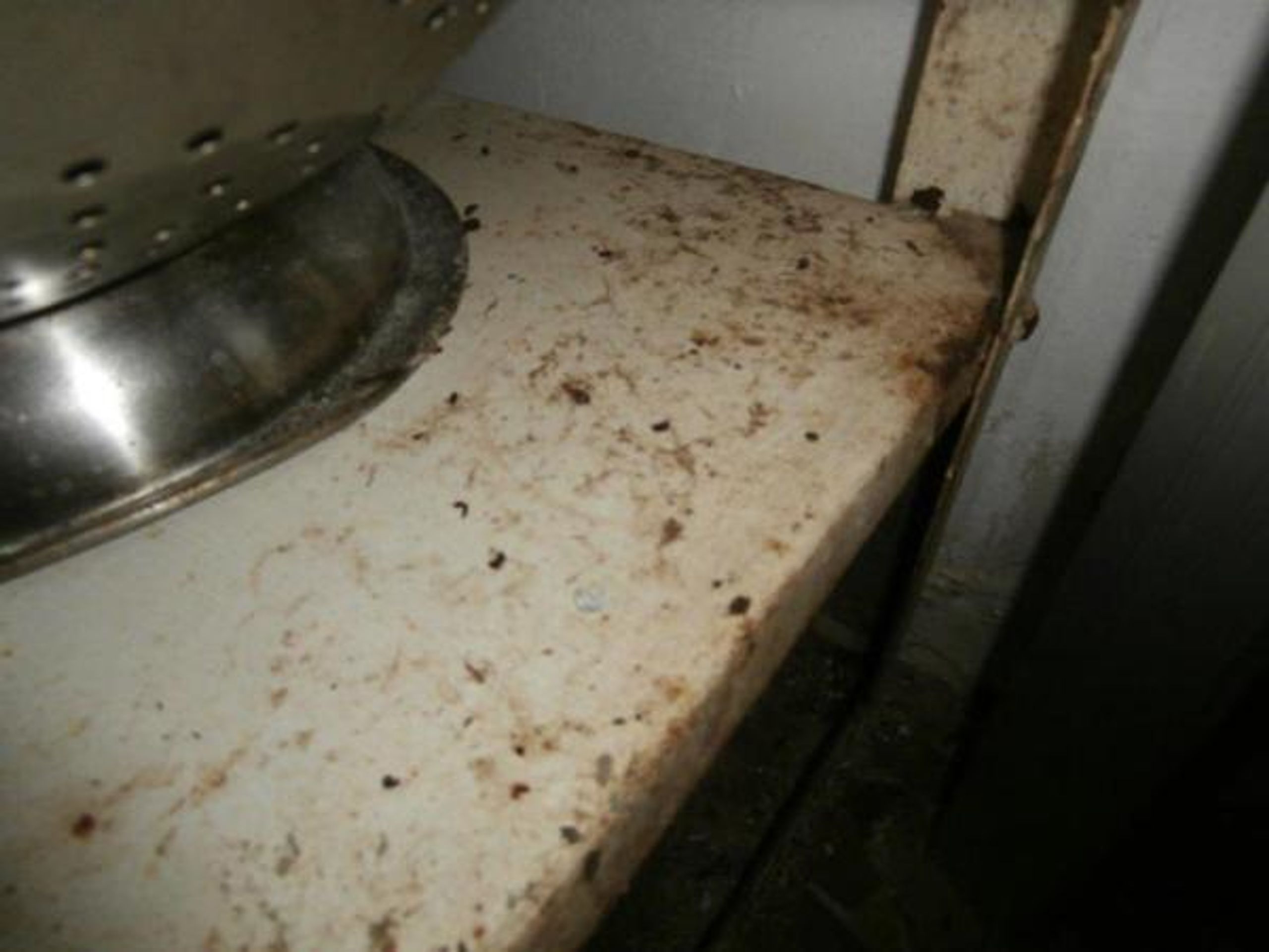 SZPI uzavřela další restauraci a hernu - 12 - FOTOGALERIE: Inspekce uzavřela další nechutné provozovny (1/12)