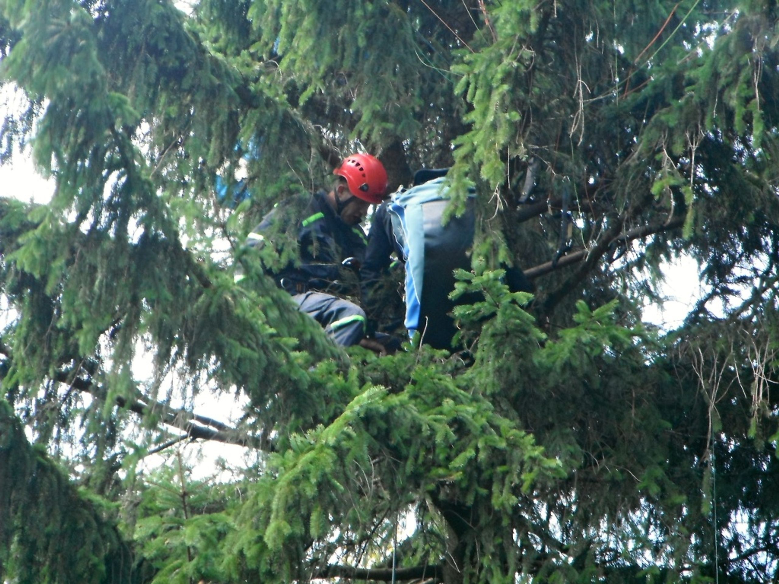 Paraglidista uvízl v koruně stromu - Paraglidista uvízl v koruně stromu (1/1)