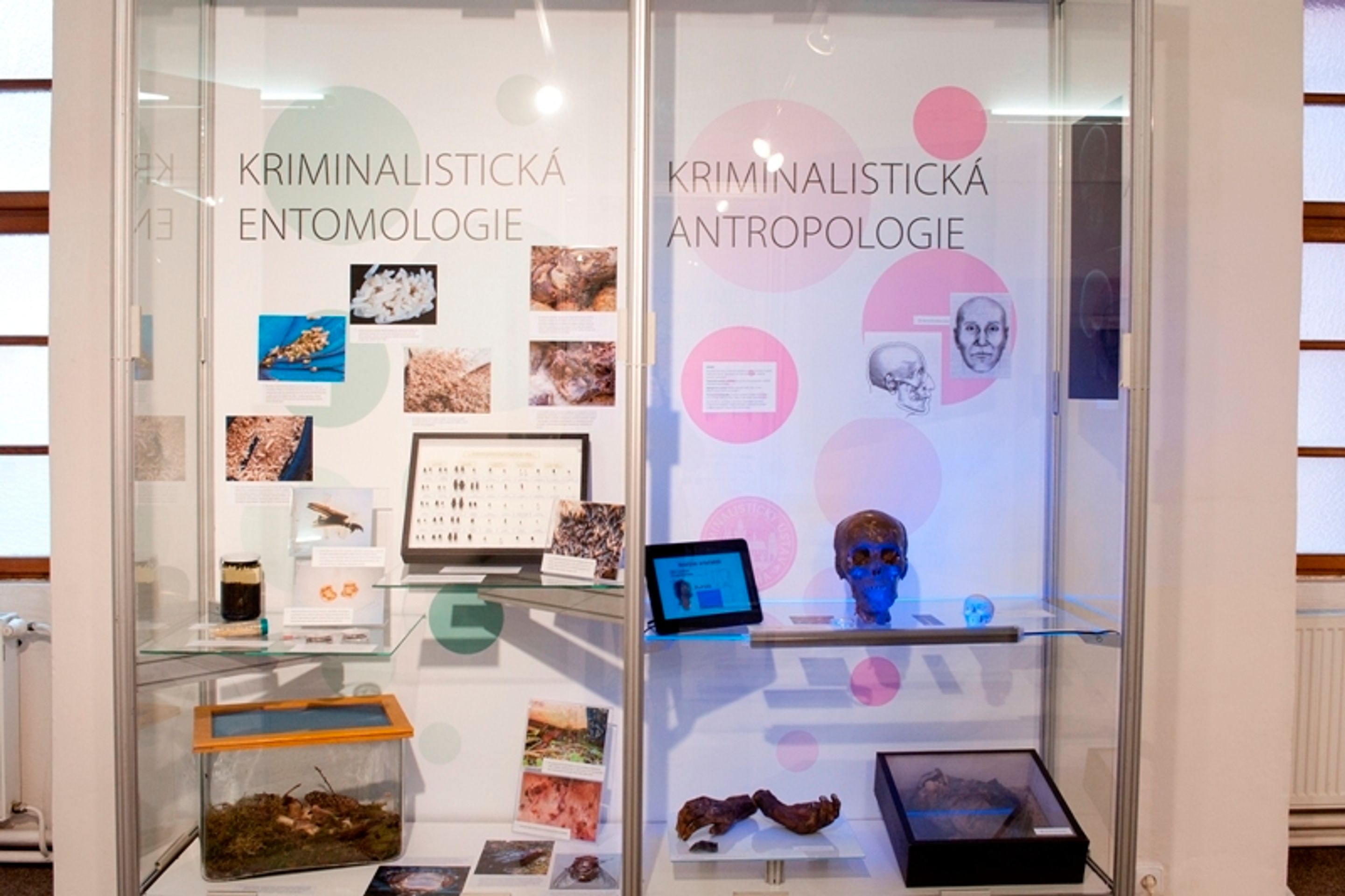 Výstava padělků, zbraní i výbušnin - 12 - GALERIE: Výstava padělků, zbraní i výbušnin (18/29)