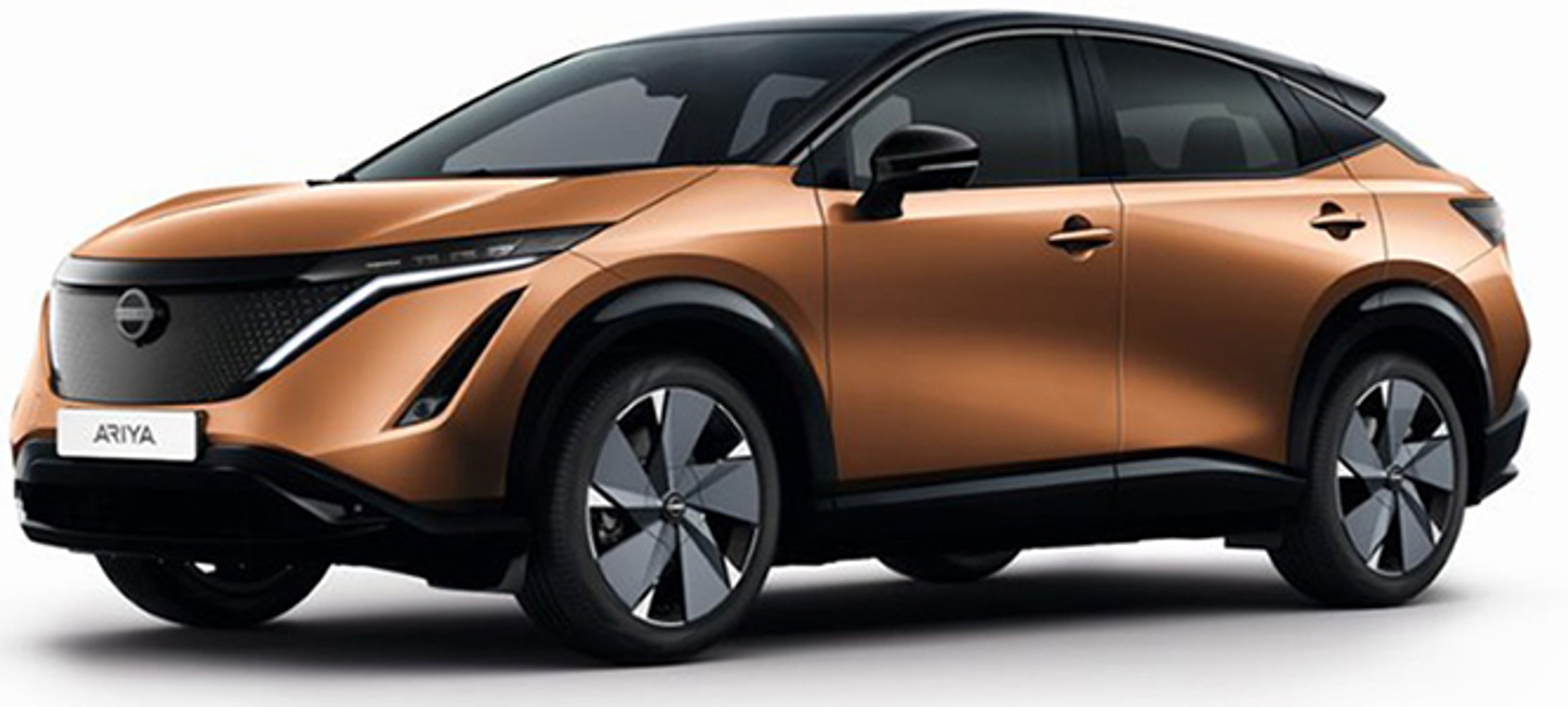 Nissan Ariya - Auta v systému RAPEX (10/10)
