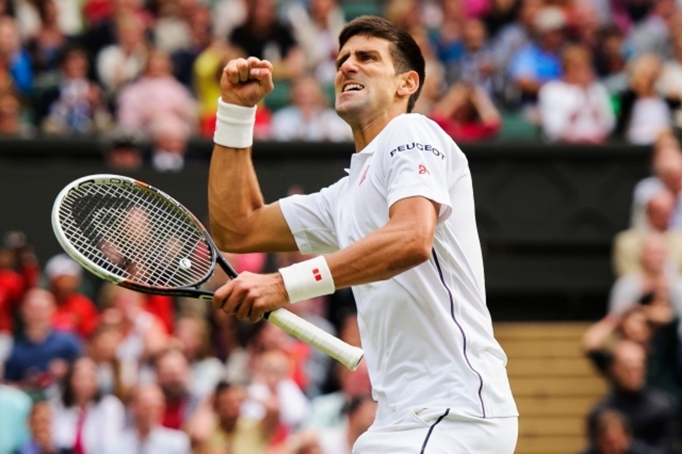 GALERIE: Radek Štěpánek - Nova Djokovič - 7 - GALERIE: Radek Štěpánek - Novak Djokovič, Wimbledon 2014 (8/13)
