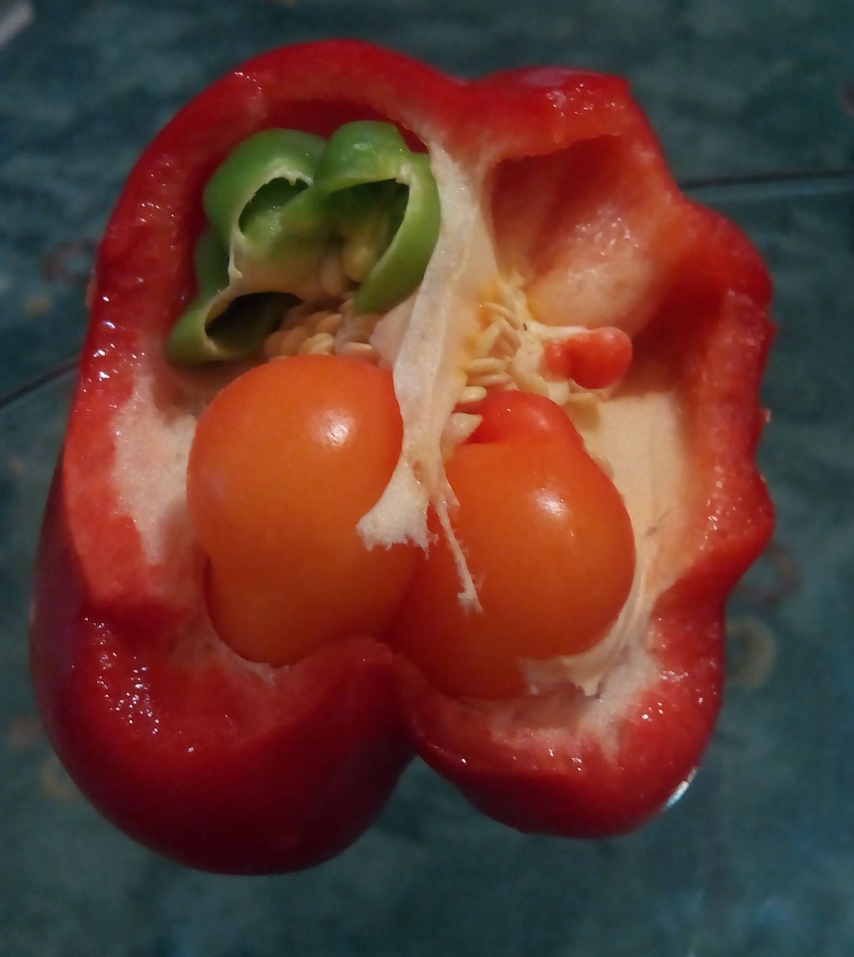Paprika - GALERIE: Záhadná paprika (3/3)