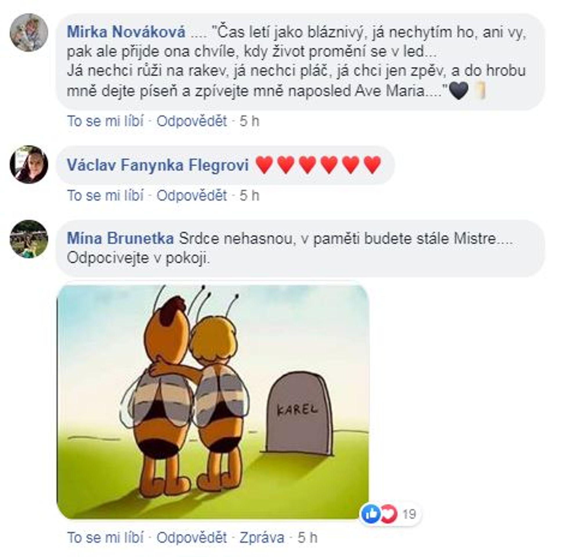 Vzkazy Karlu Gottovi - 5 - GALERIE: Vzkazy Karlu Gottovi (5/8)