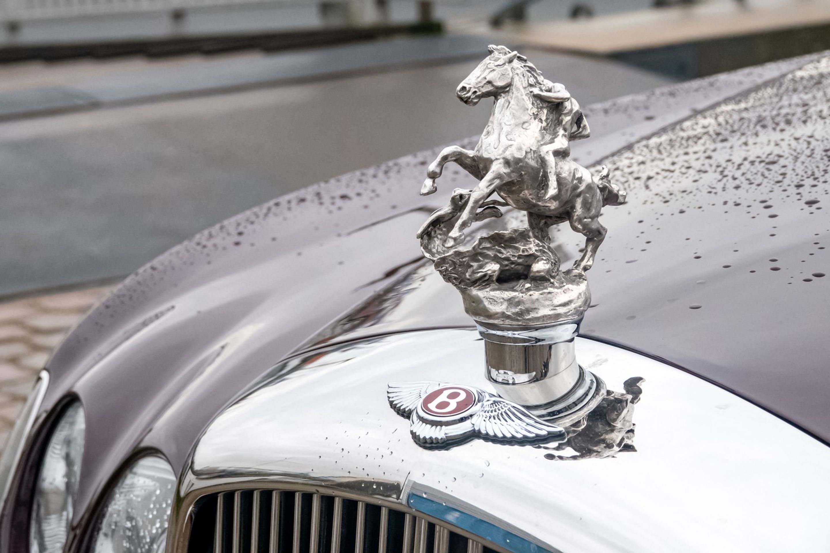 Bentley State Limousine - Bentley State Limousine (2/6)